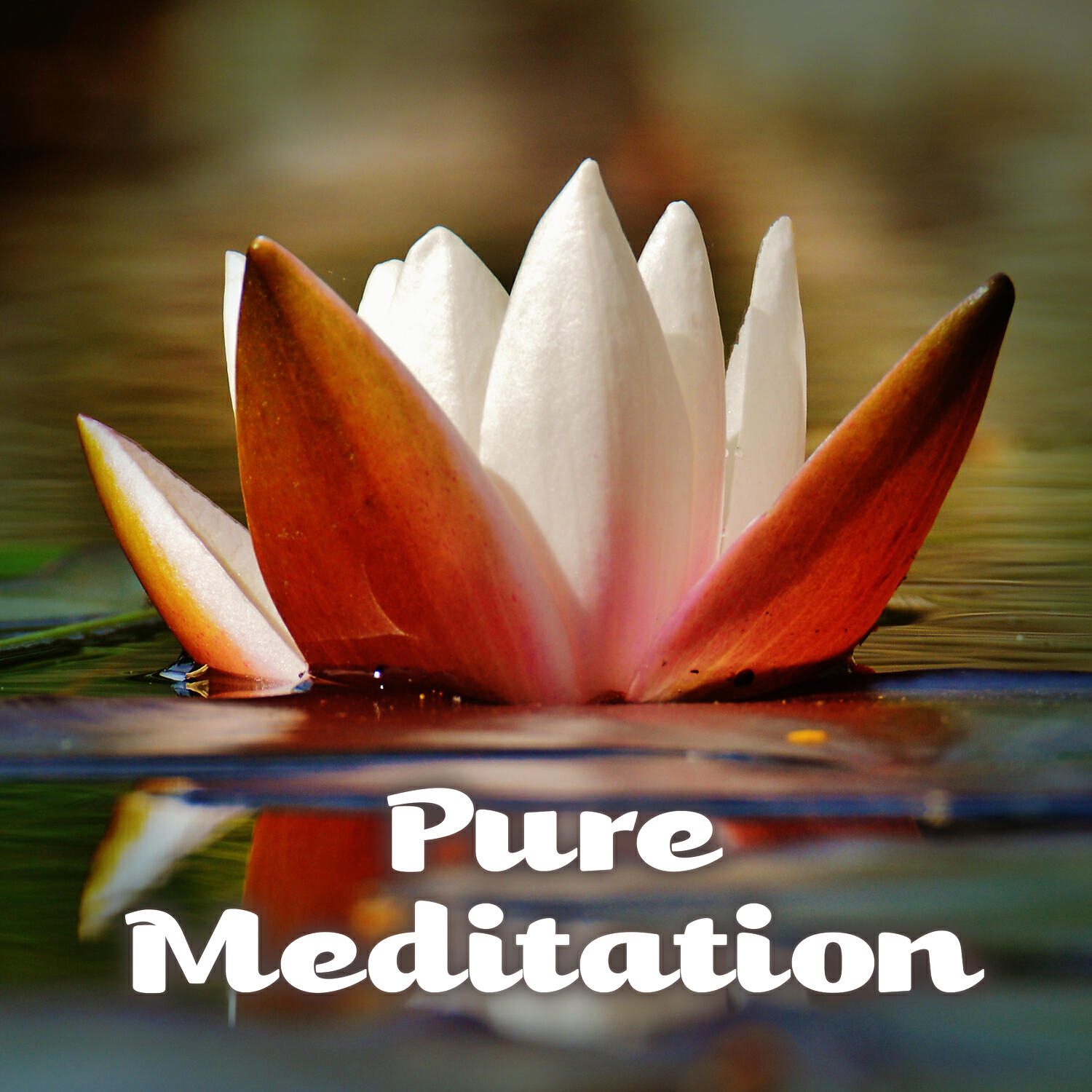 Relax Meditate Sleep - Sleeptime Songs for Your Baby