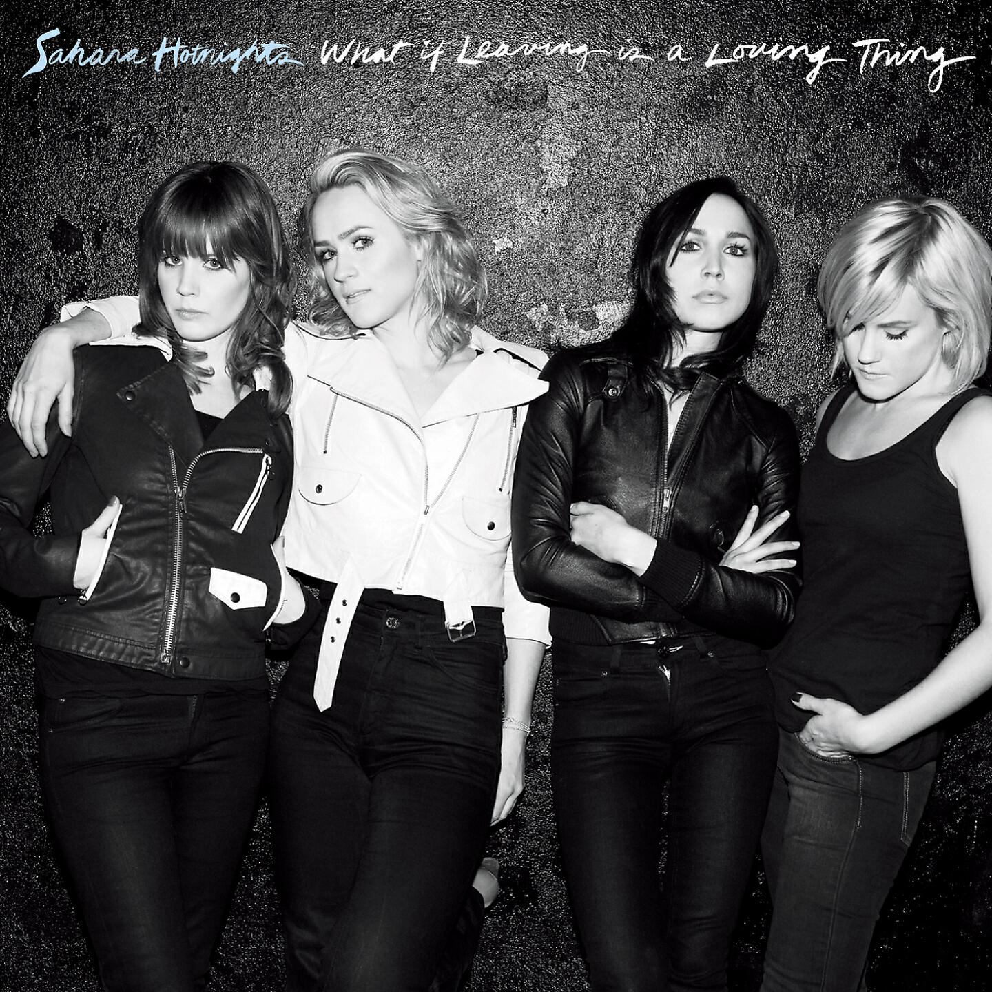 Sahara Hotnights - Puppy