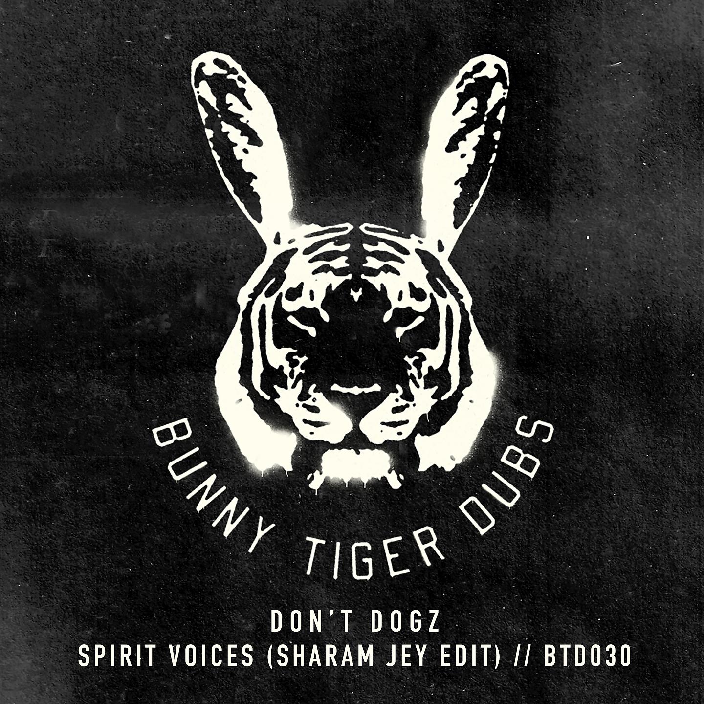 Постер альбома Spirit Voices (Sharam Jey Edit)