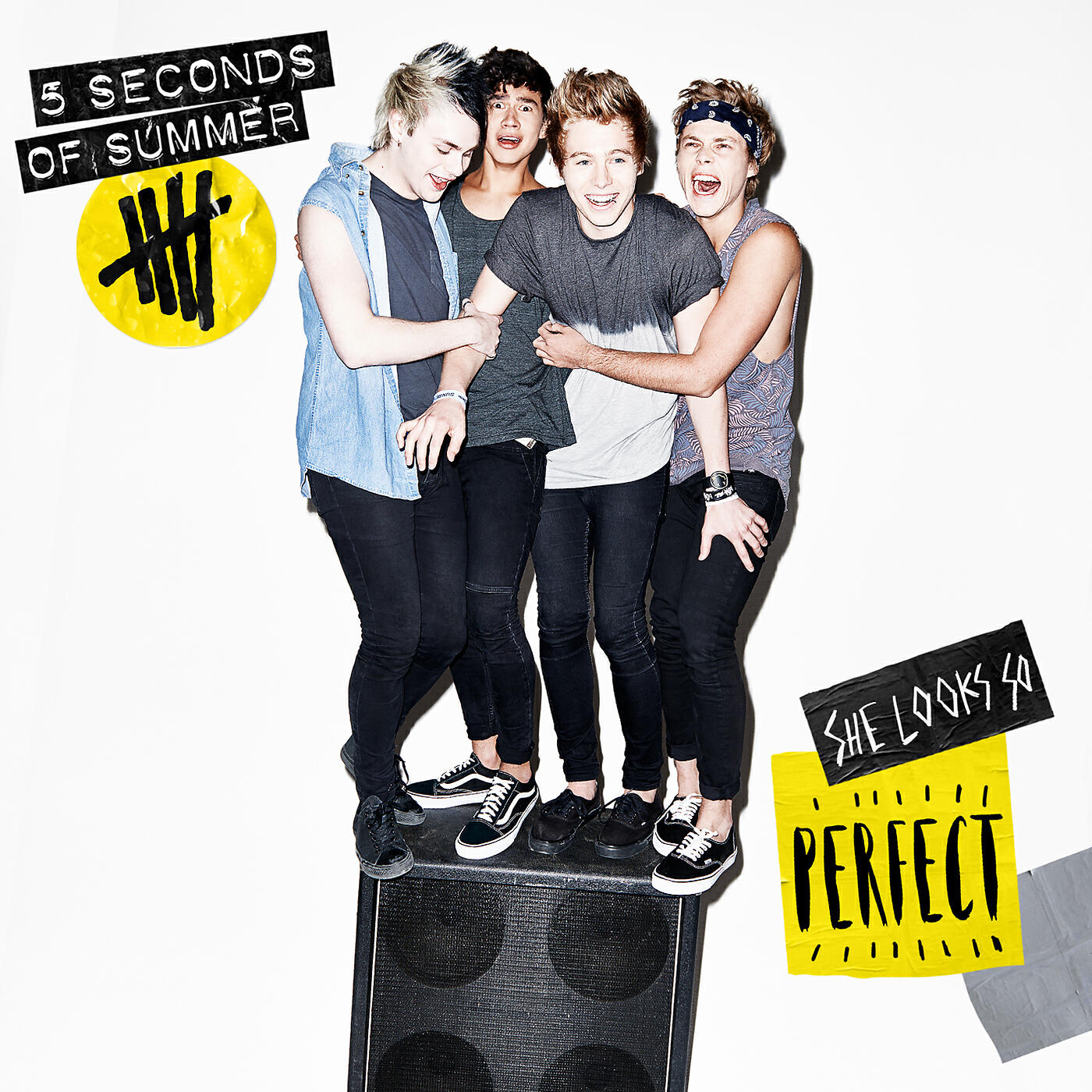 5 Seconds Of Summer - She Looks So Perfect (Ash Demo Vocal)