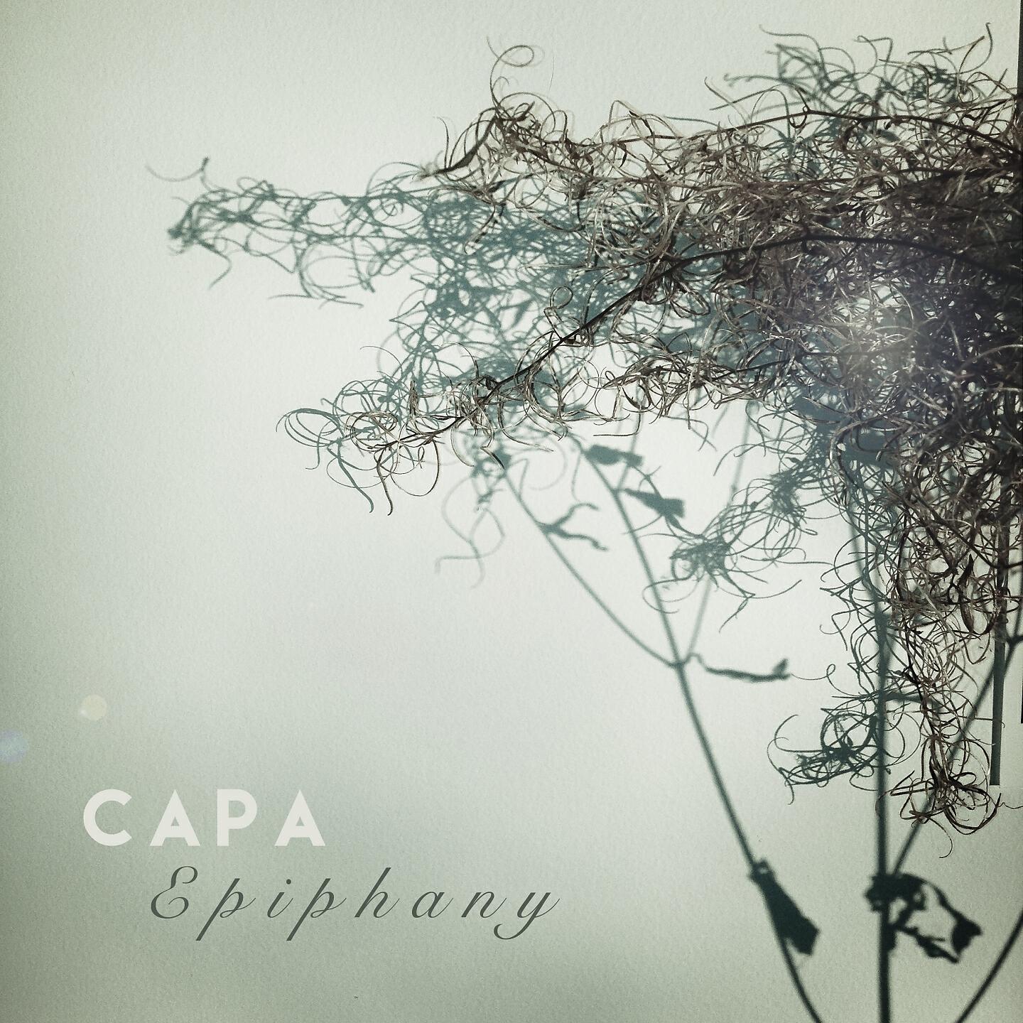 CAPA - Capacity