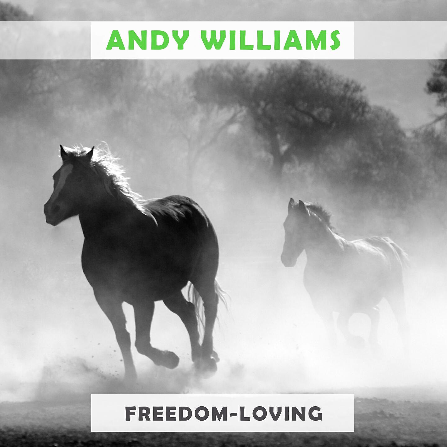 Andy Williams - Madrigal