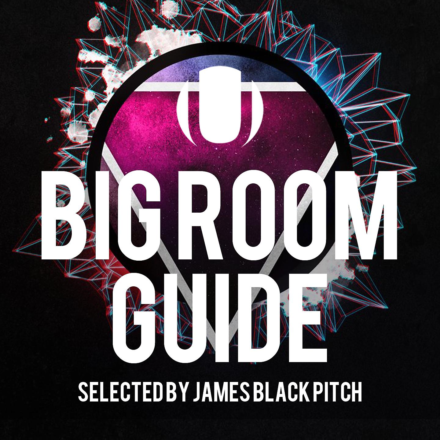 Постер альбома Big Room Guide