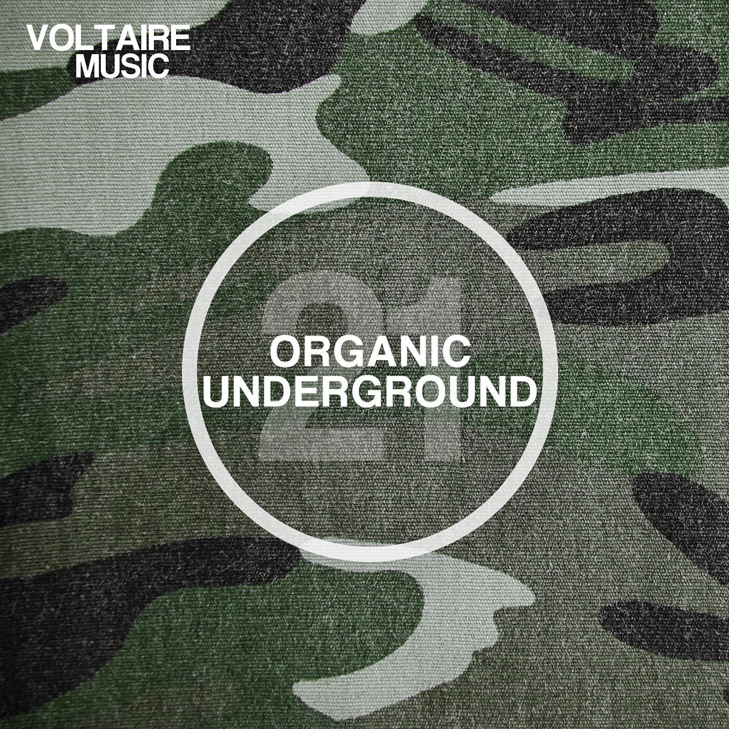 Постер альбома Organic Underground Issue 21