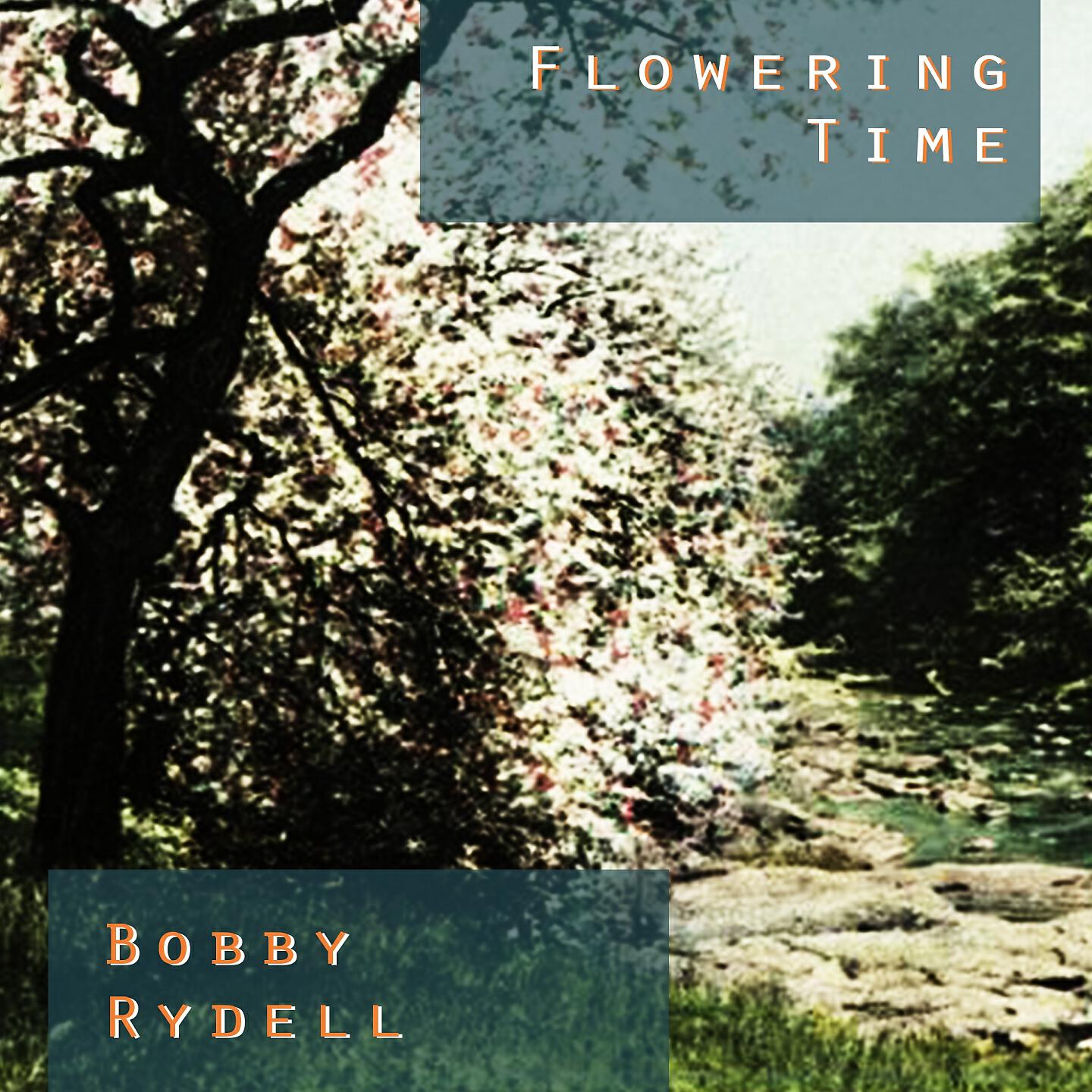 BOBBY RYDELL - I've Got Bonnie