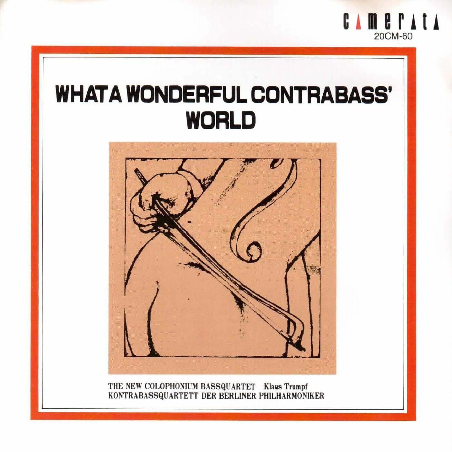 Постер альбома What a Wonderful Contrabass World