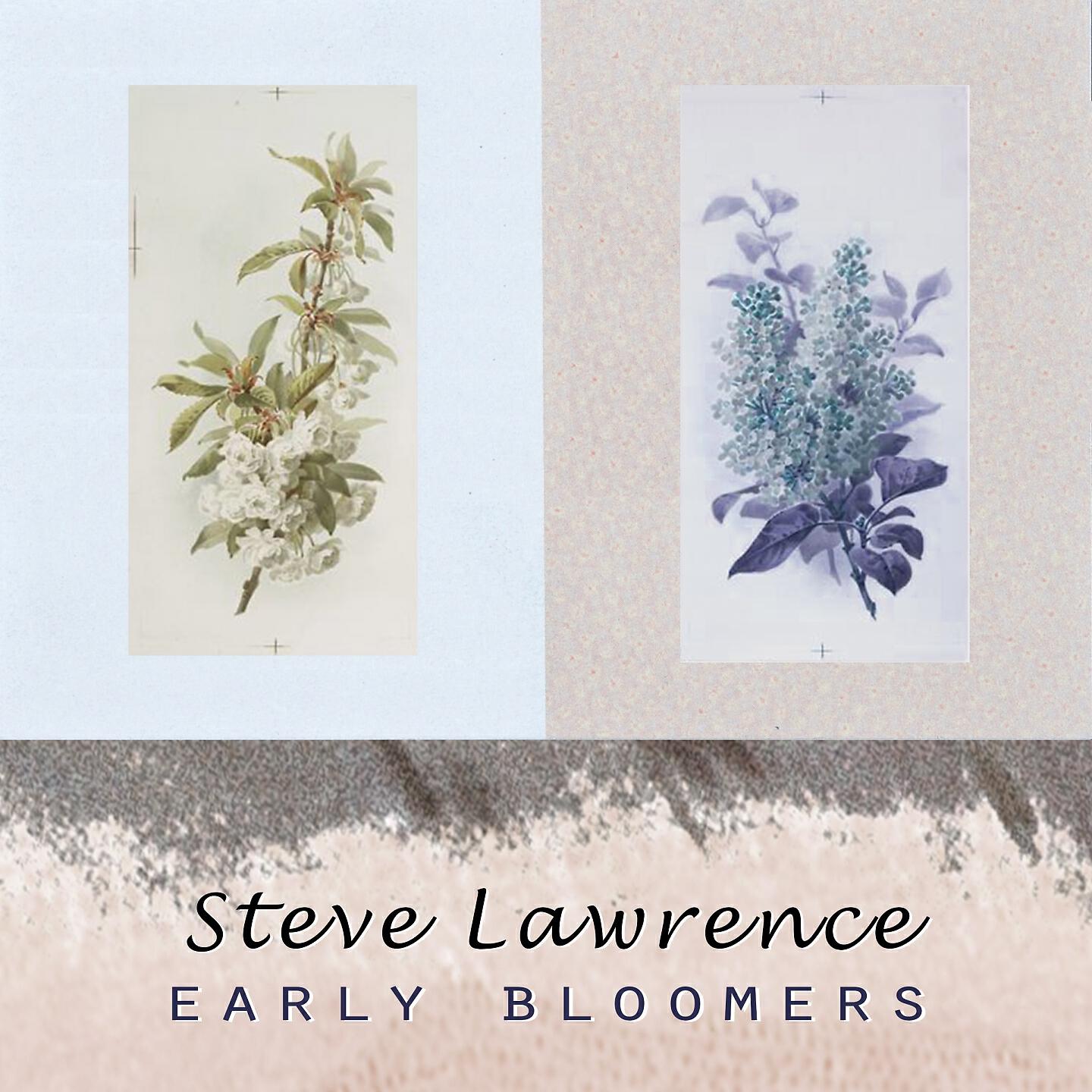 Steve Lawrence - My Shawl