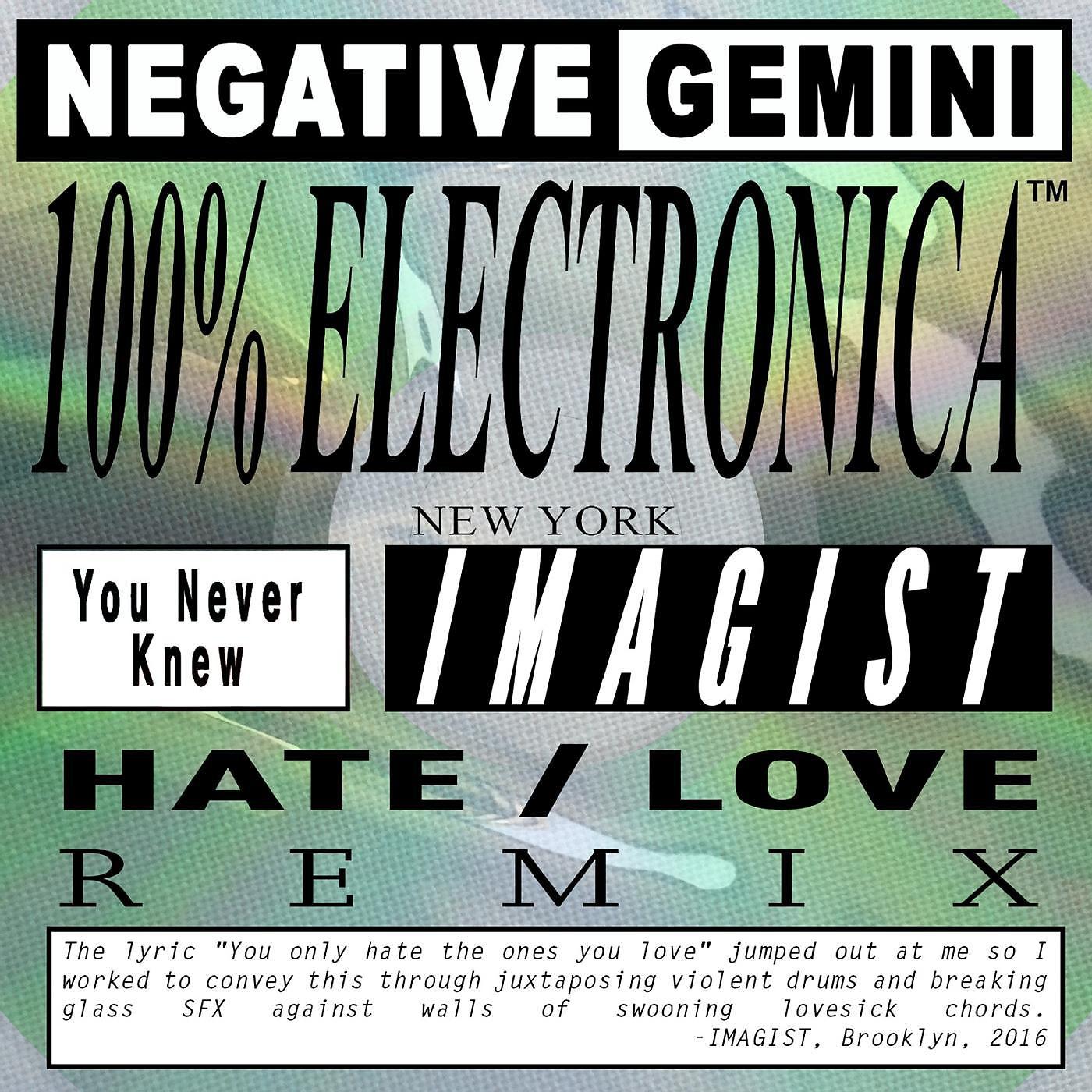 Постер альбома You Never Knew (Imagist Hate / Love Remix)