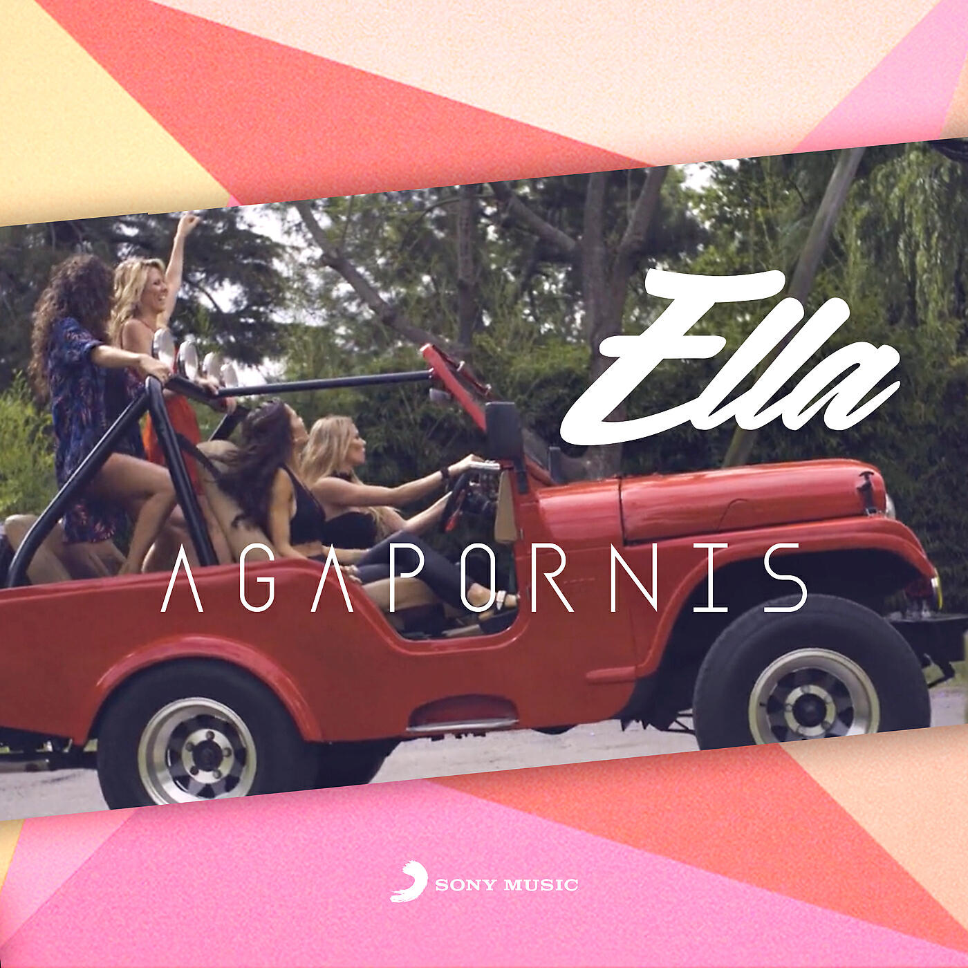 Agapornis - Ella