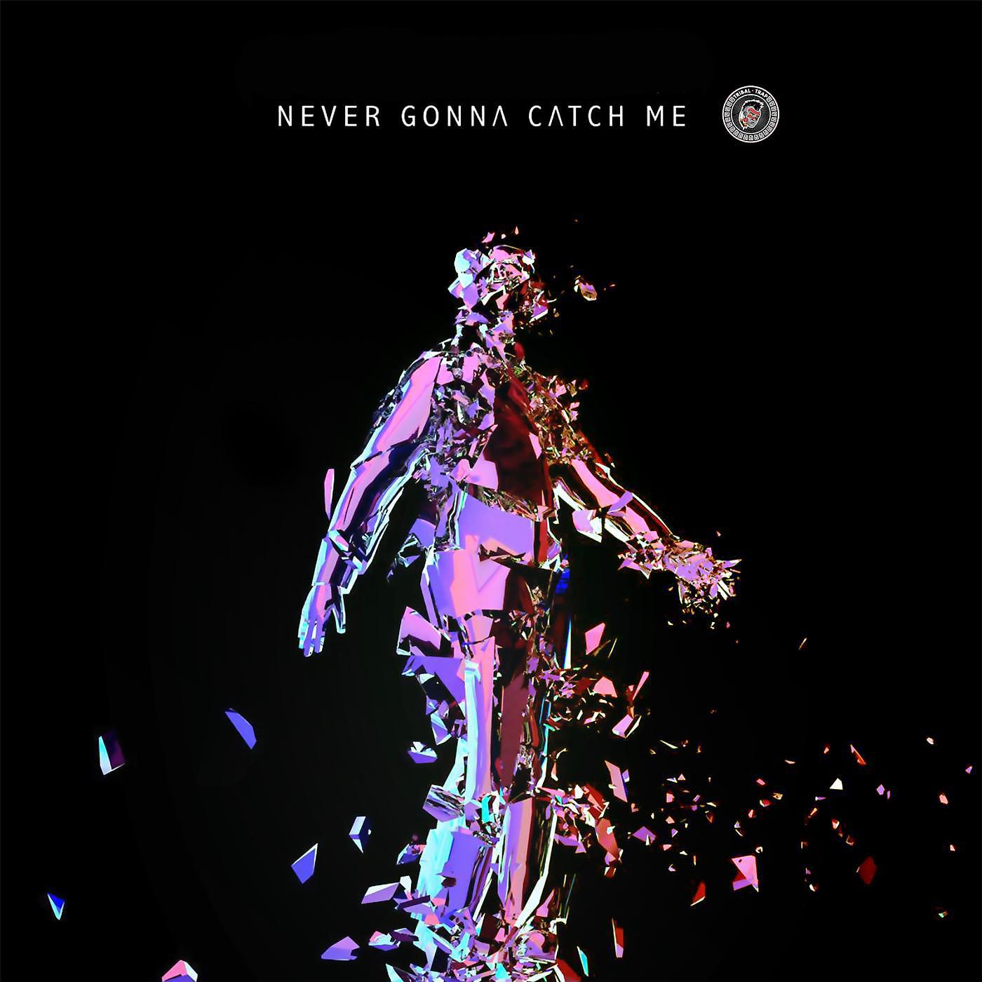 Постер альбома Never Gonna Catch Me: The Remixes