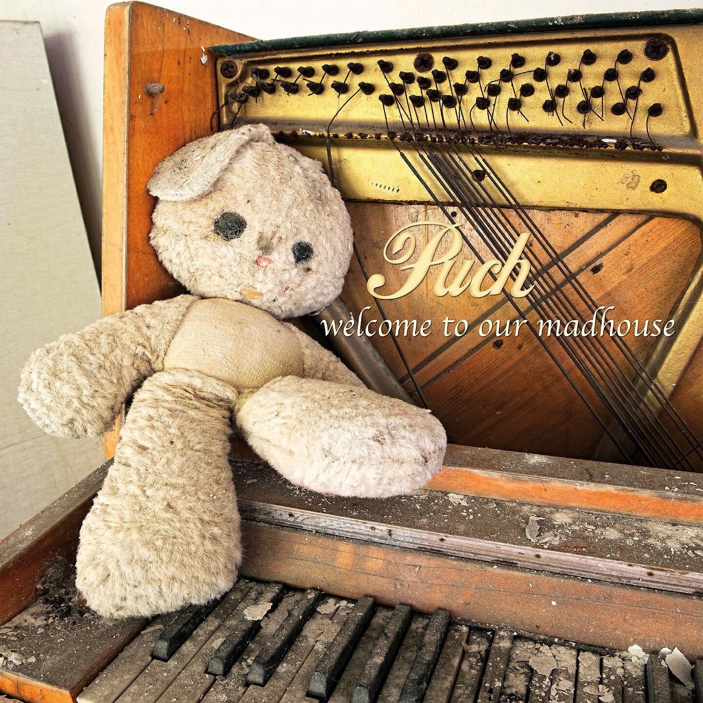 Puch - Which Fire Did You Light