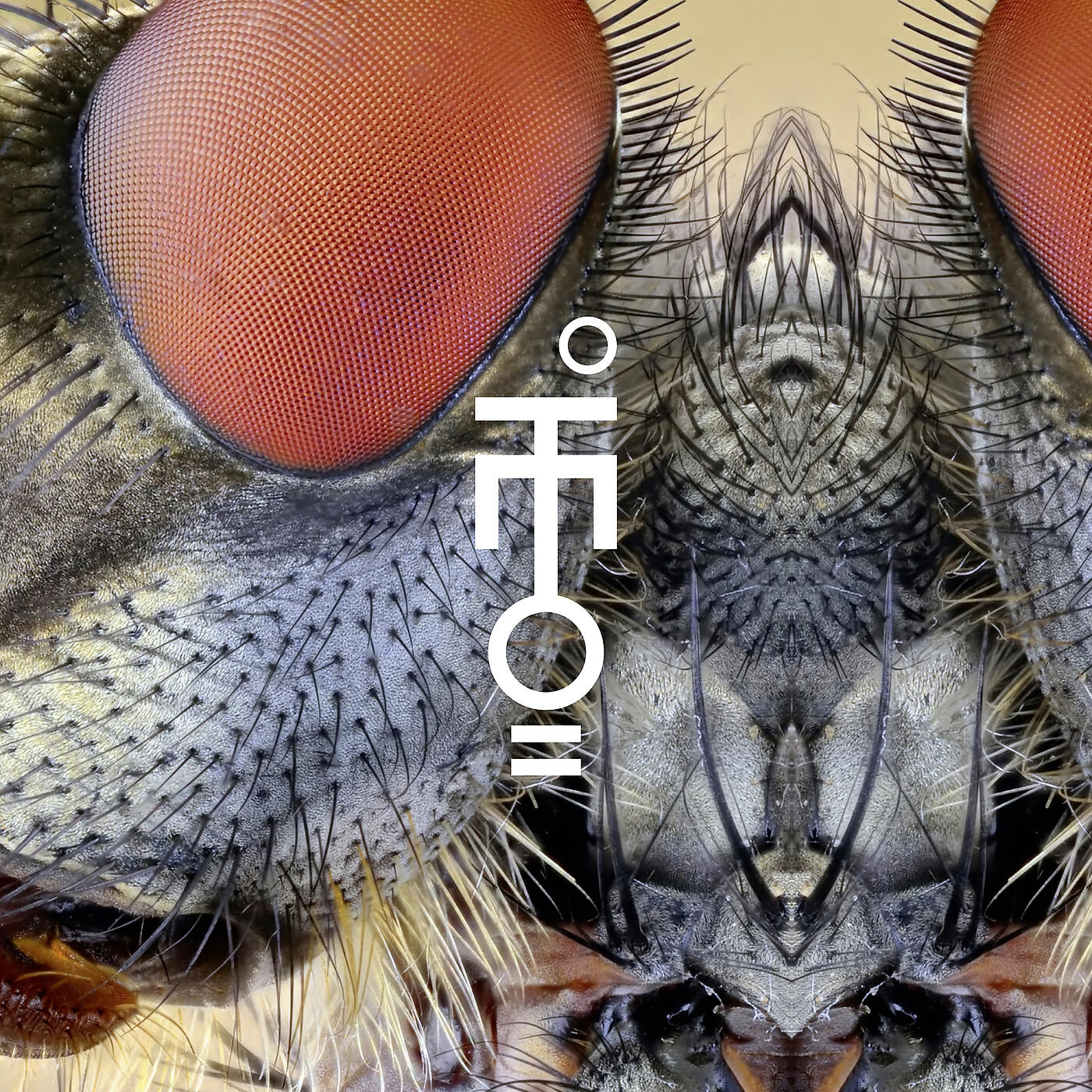 Demonology HiFi - Fino al giorno in cui (Radio MST GV3)