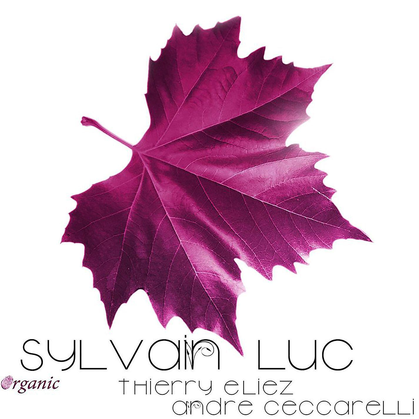 Sylvain Luc - Maité