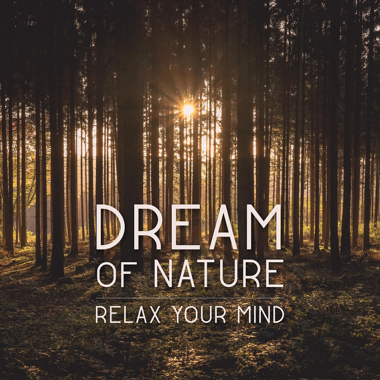 Harmony Nature Sounds Academy - Flow Zen
