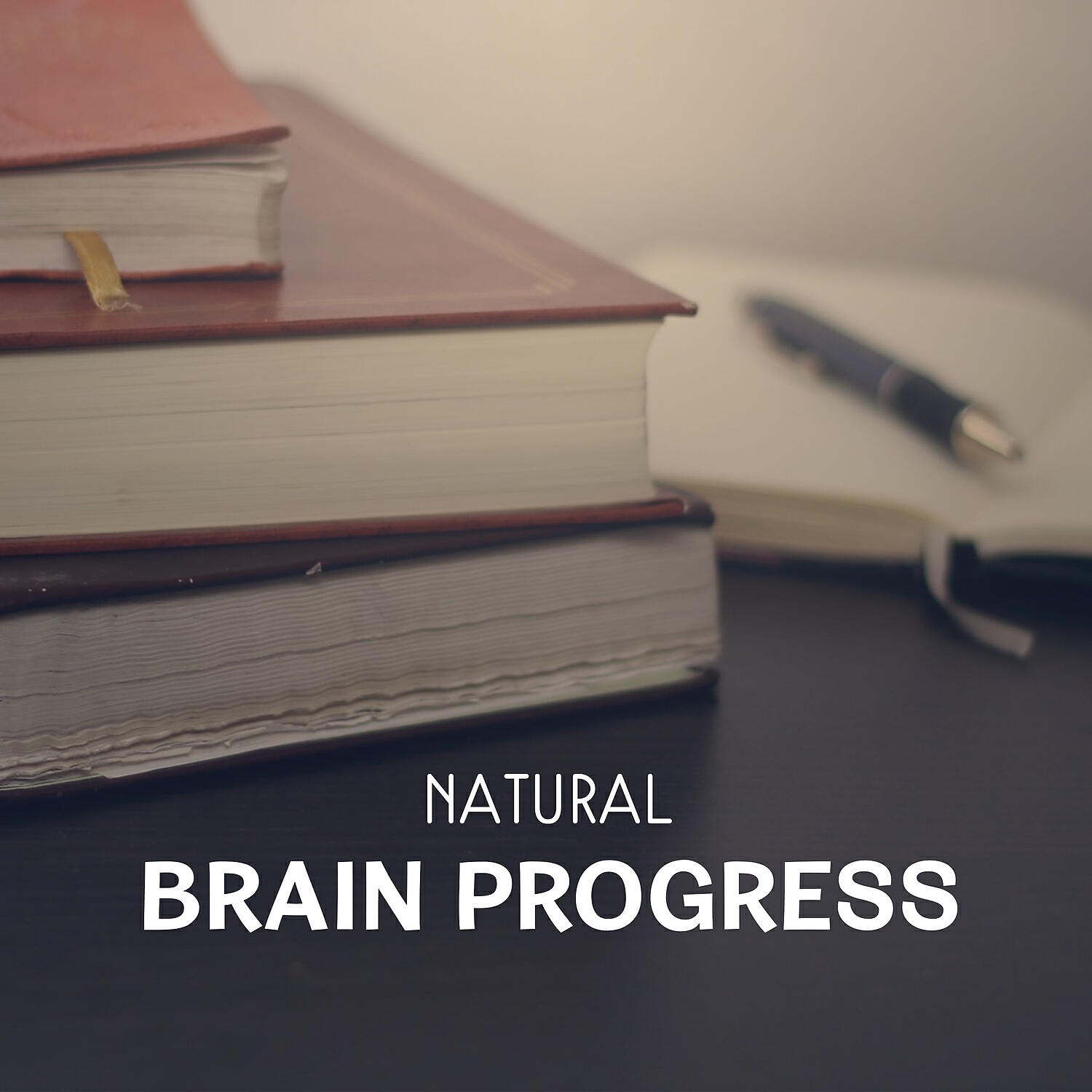 Brain Stimulation Music Collective - Brain Development