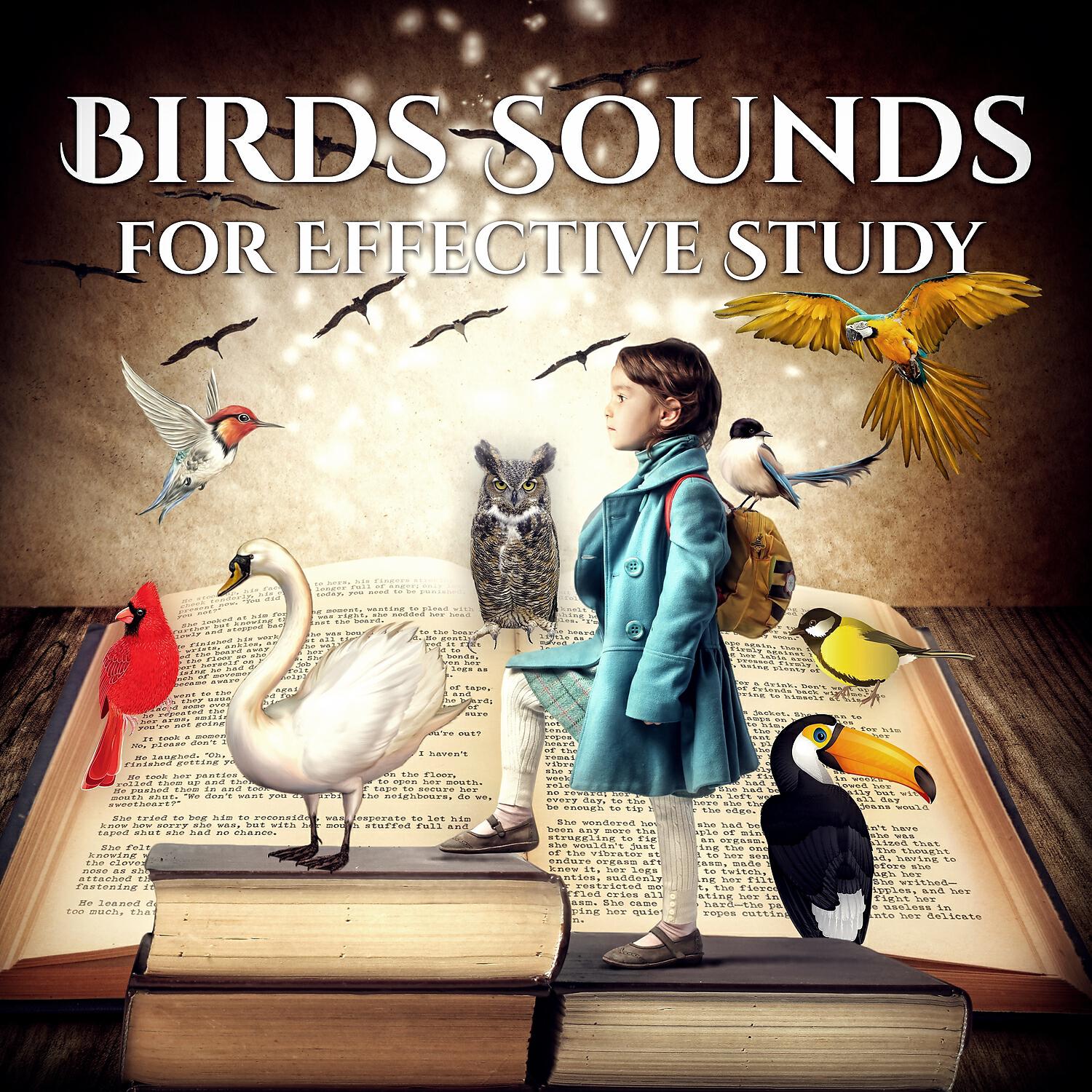 Spiritual Music Collection - No Stress