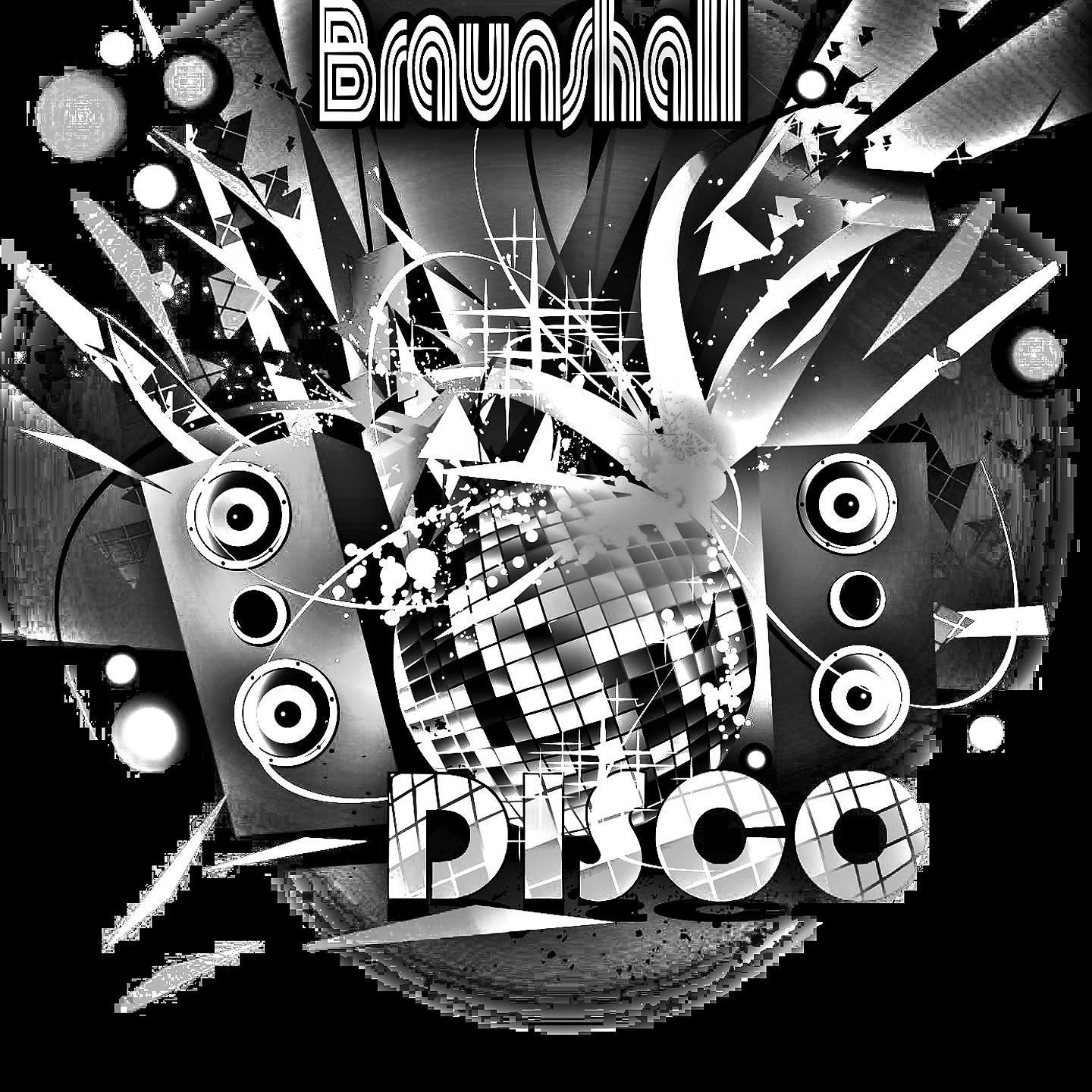 Постер альбома Disco Braunshall