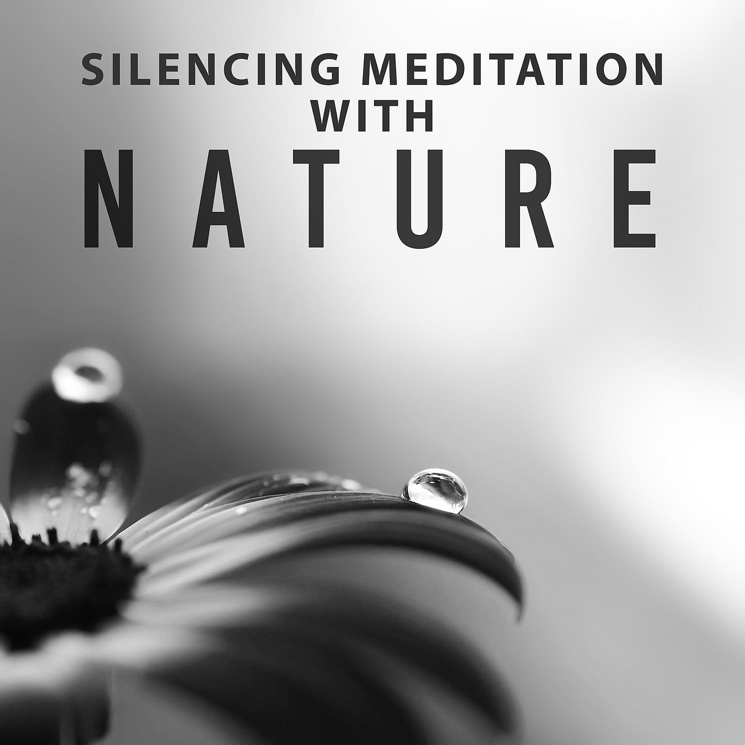 Постер альбома Silencing Meditation with Nature - Moment of Rest, Relax and Relaxation, Silence Inner, Happiness Childish, Position Convenient for Reflection