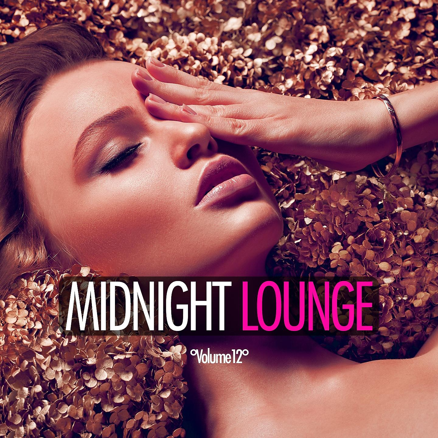 Постер альбома Midnight Lounge, Vol. 12