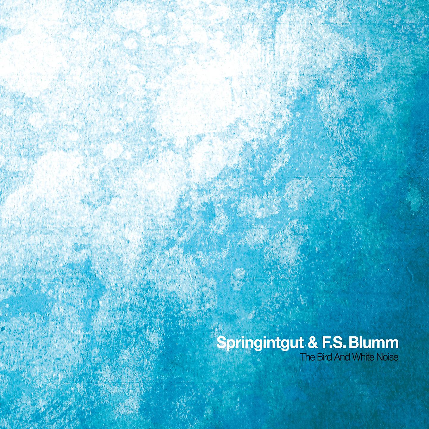Springintgut - Eskimono