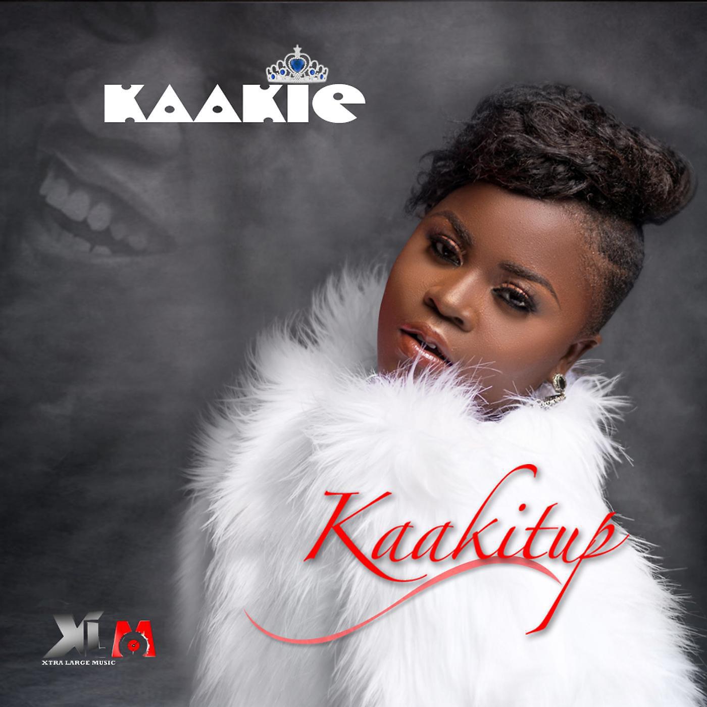 Постер альбома KaakitUp