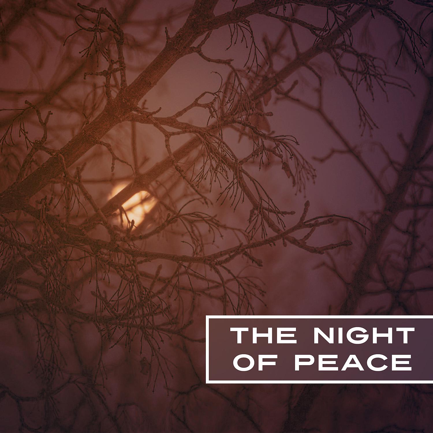 Постер альбома The Night of Peace – Calm Music for Sleeping, Deep Sleep, Ambient Instrumental Music, Magical Dreams, Peacefulness
