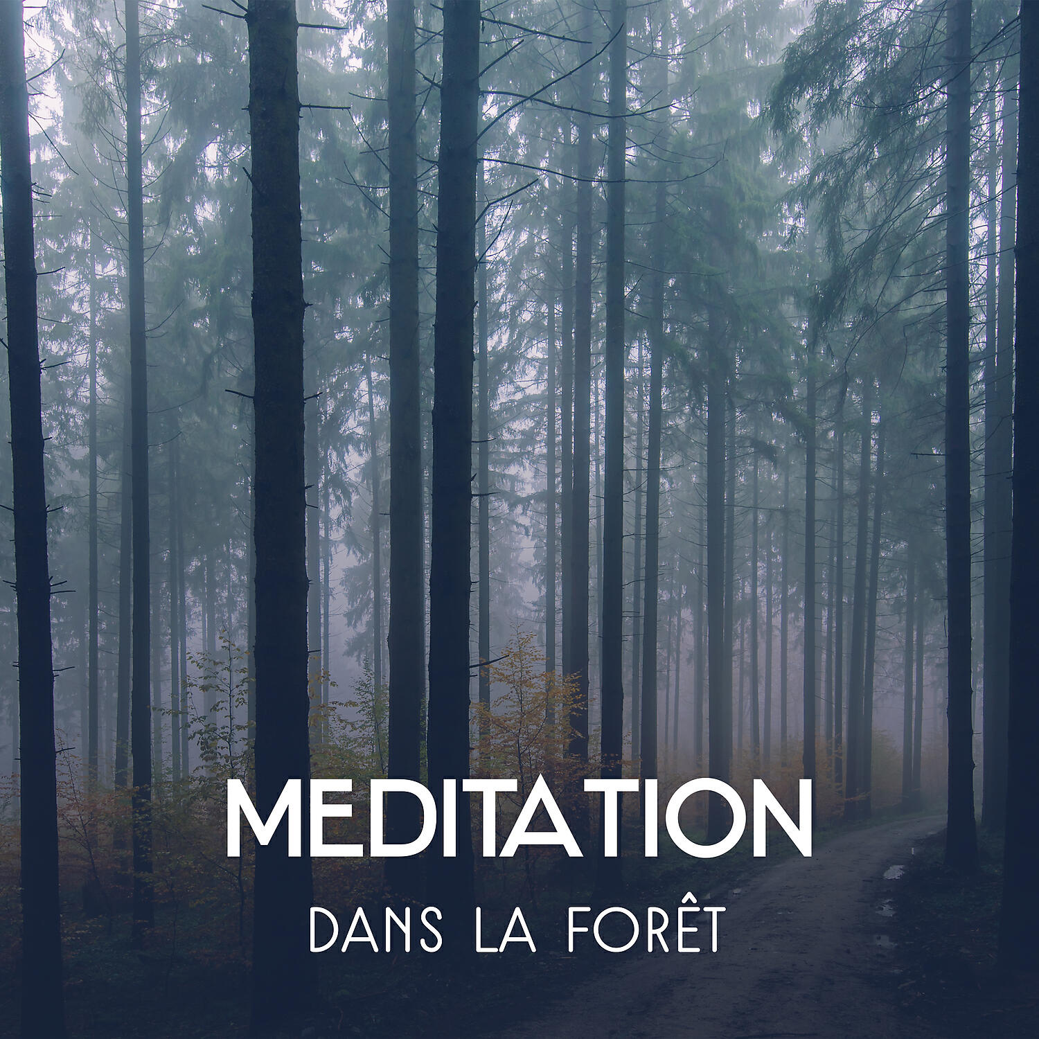 Oasis Des Bruits Naturels - Forêt saine et rivière
