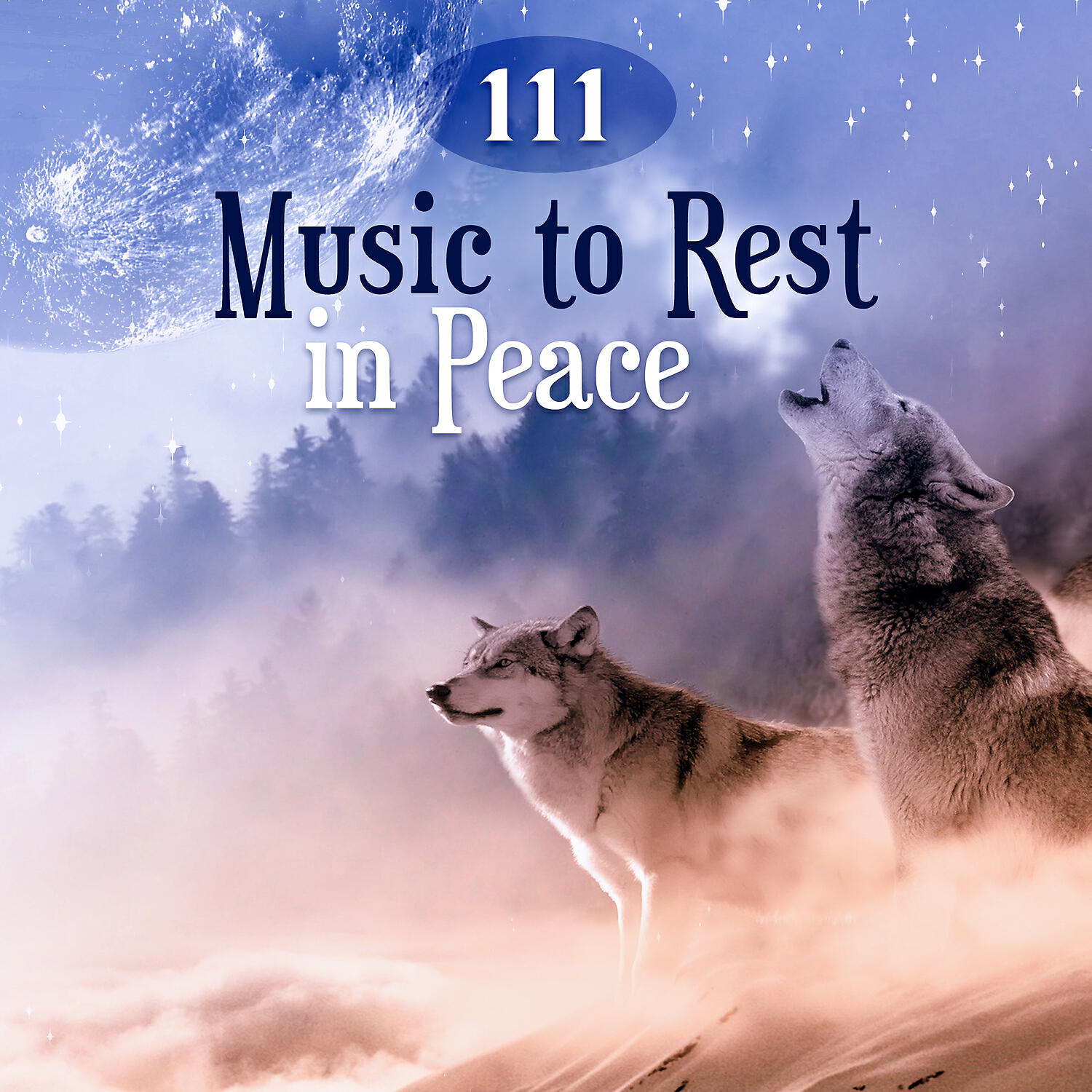 Peaceful Sleep Music Collection - White Noise: Ambient Woodland Sound