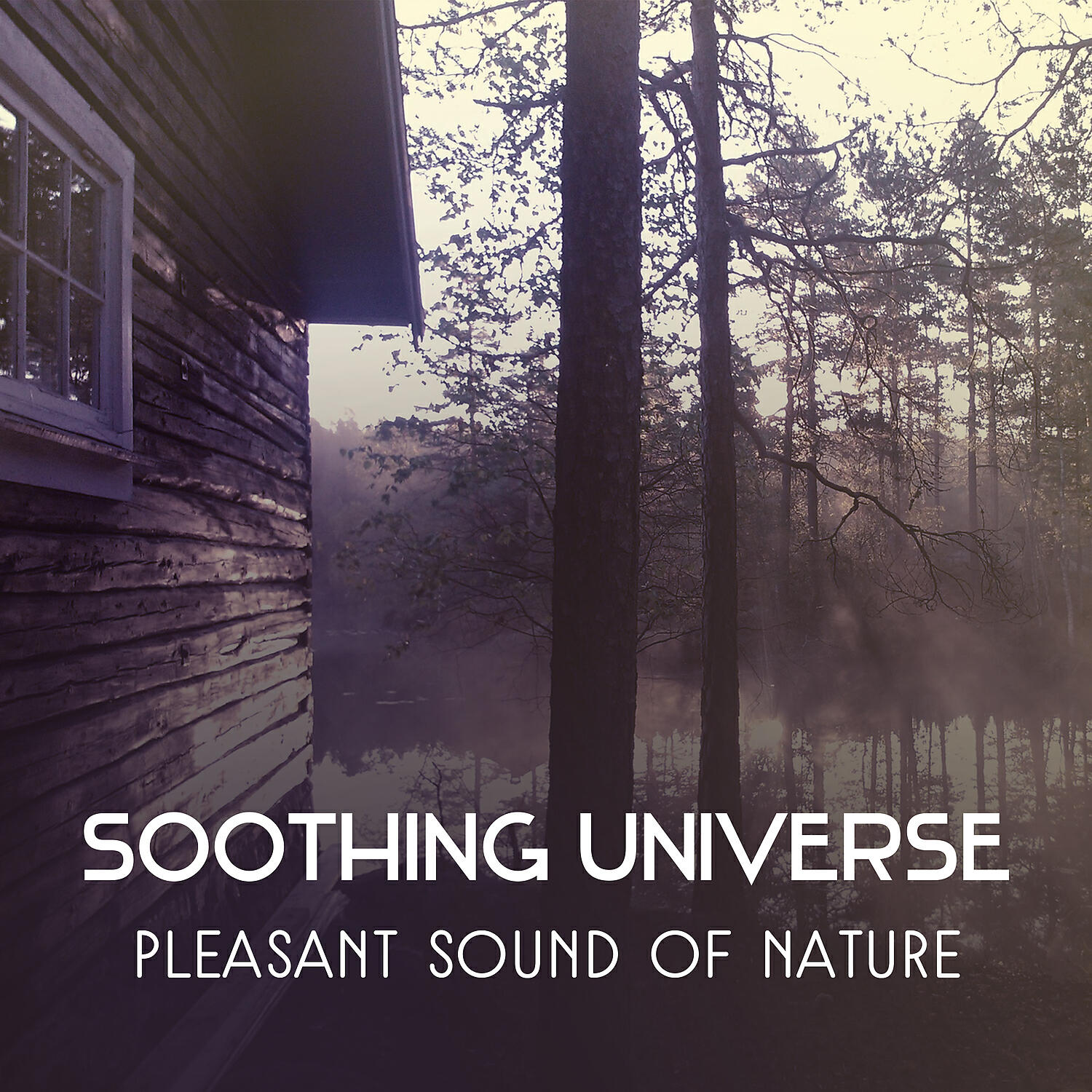 Nature Music Sanctuary - Mental Peace (Small Stream)