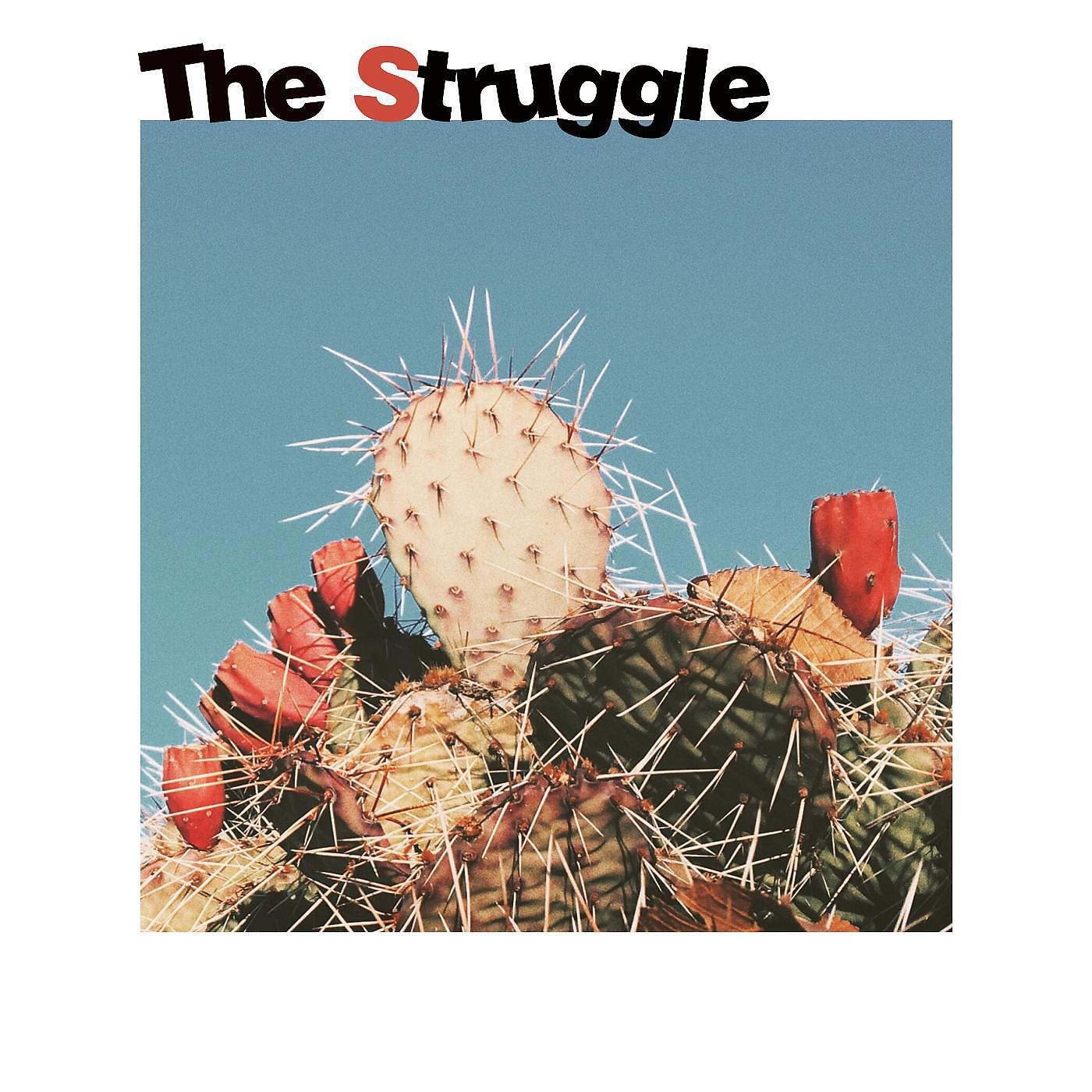 Slik D - The Struggle (feat. Nico Marks)