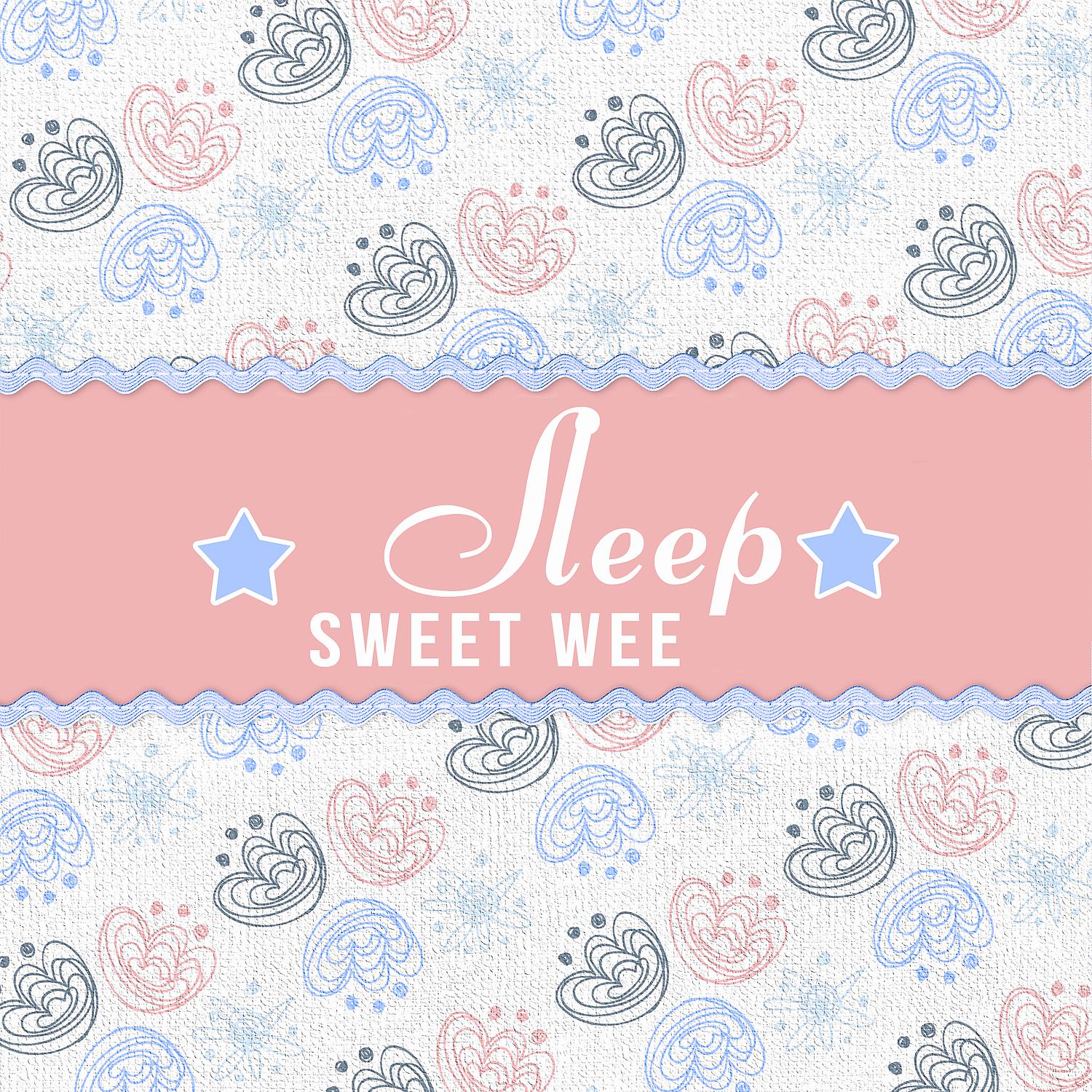 Постер альбома Sleep Sweet Wee - Story of the Little Prince, Hum a Lullaby, Fairy Tale for Goodnight, Sweet Dreams Baby, Soft Pillow and Soft Toy