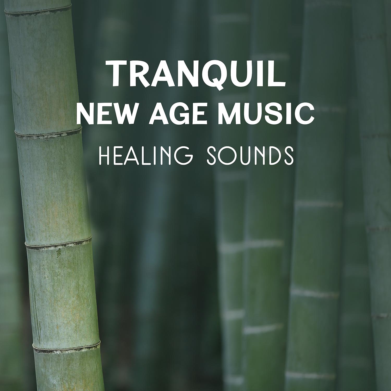 Yoga Healing Sounds Unit - Yoga Motivation (Piano & Birds)