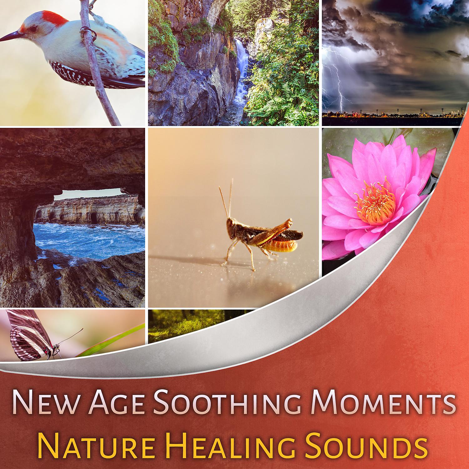 Постер альбома New Age Soothing Moments: Nature Healing Sounds - Rain, Ocean Waves, Birds, Water, Thunderstorm, White Noise, Relaxation Therapy, Autogenic Training, Serenity Time, Sleep Music