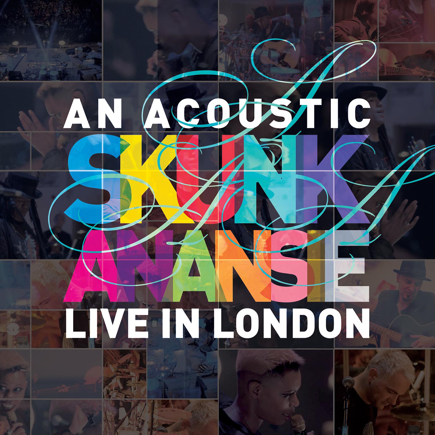 Постер альбома An Acoustic Skunk Anansie - Live In London
