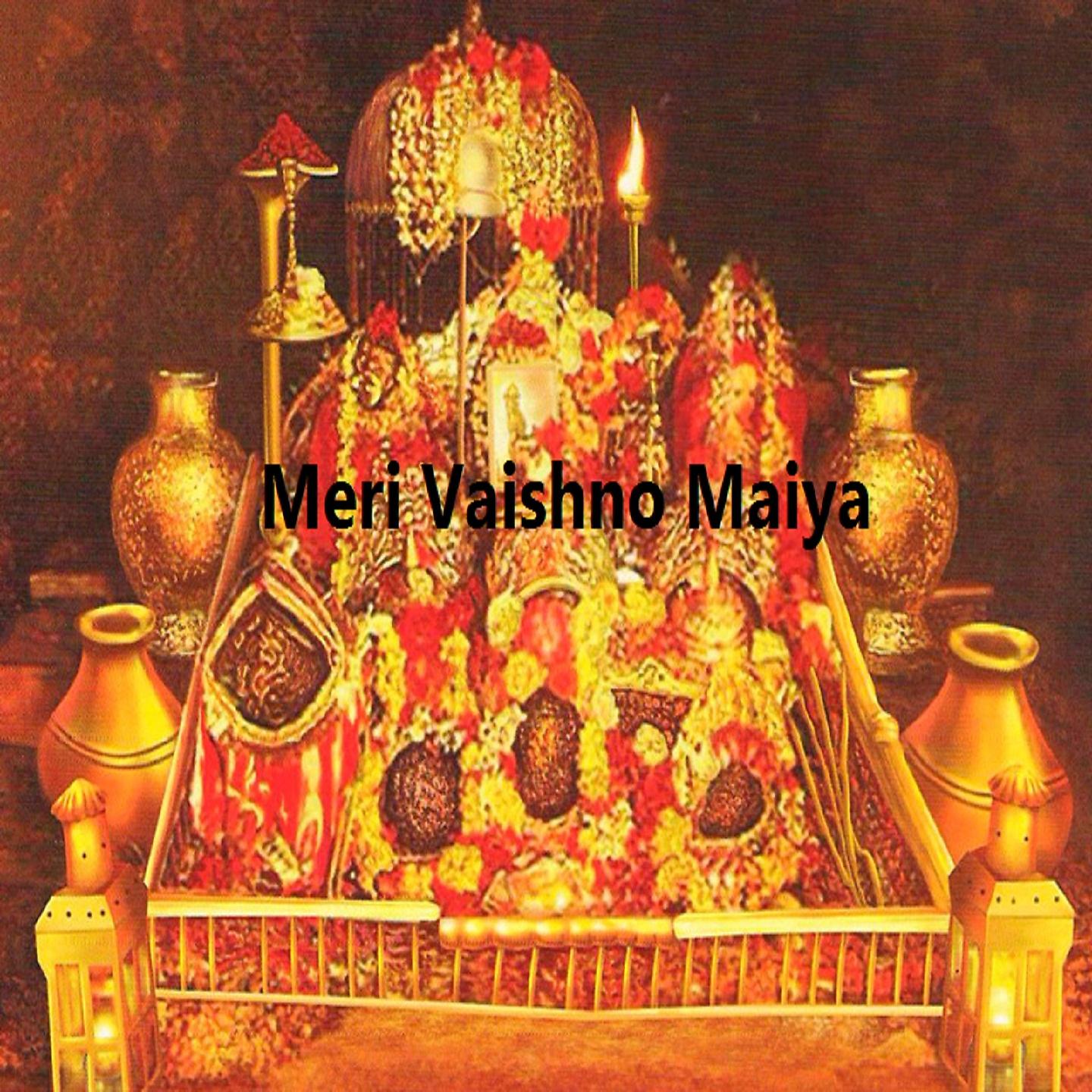 Постер альбома Meri Vaishno Maiya