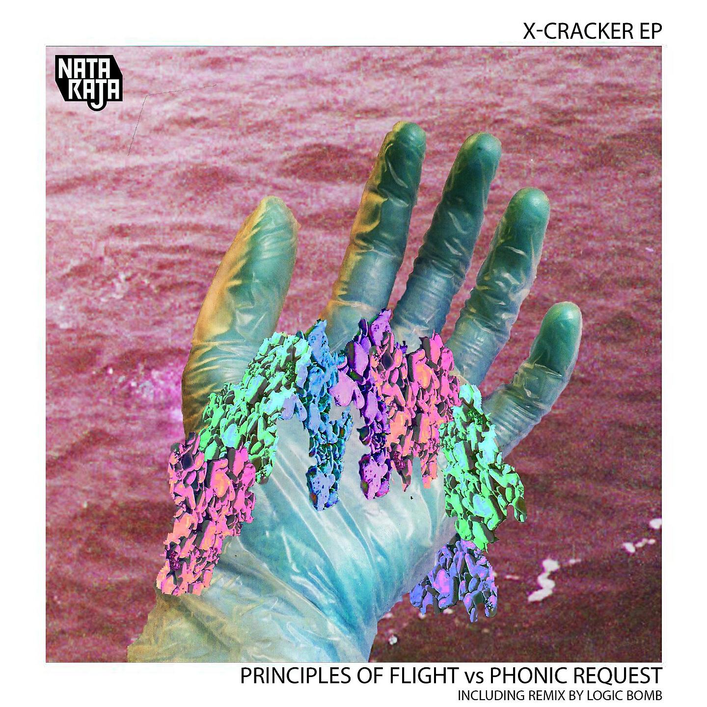 Principles Of Flight - Equinox