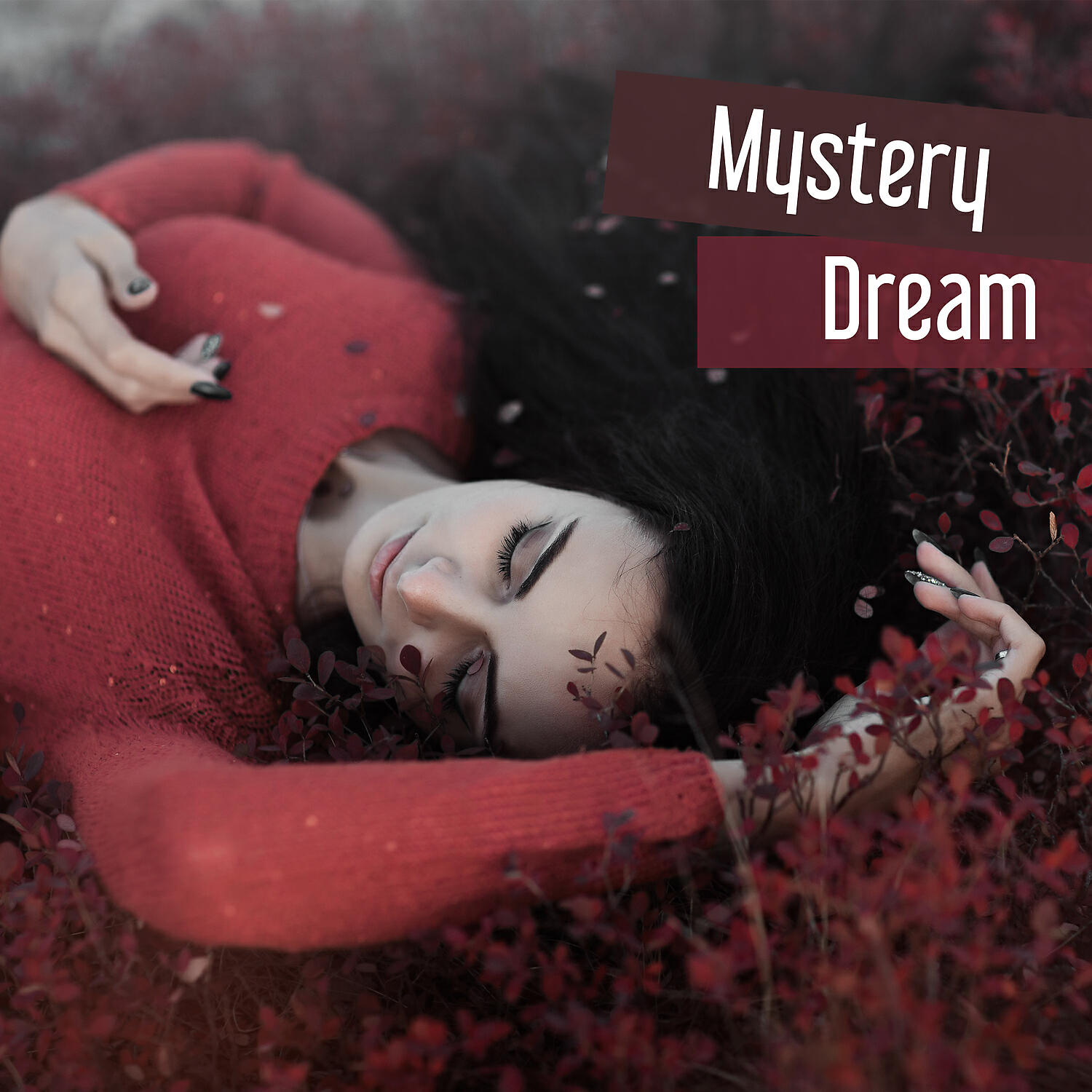 Deep Sleep Relaxation - Conversation