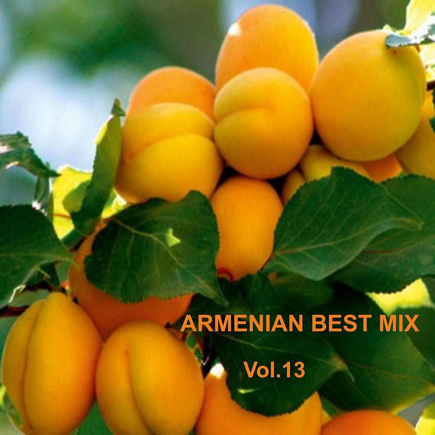 Постер альбома Armenian Best Mix, Vol. 13