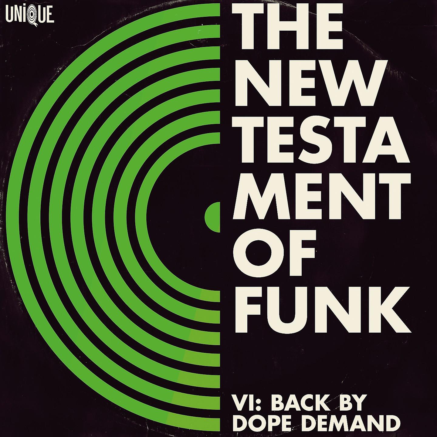 Постер альбома New Testament of Funk, Vol. 6