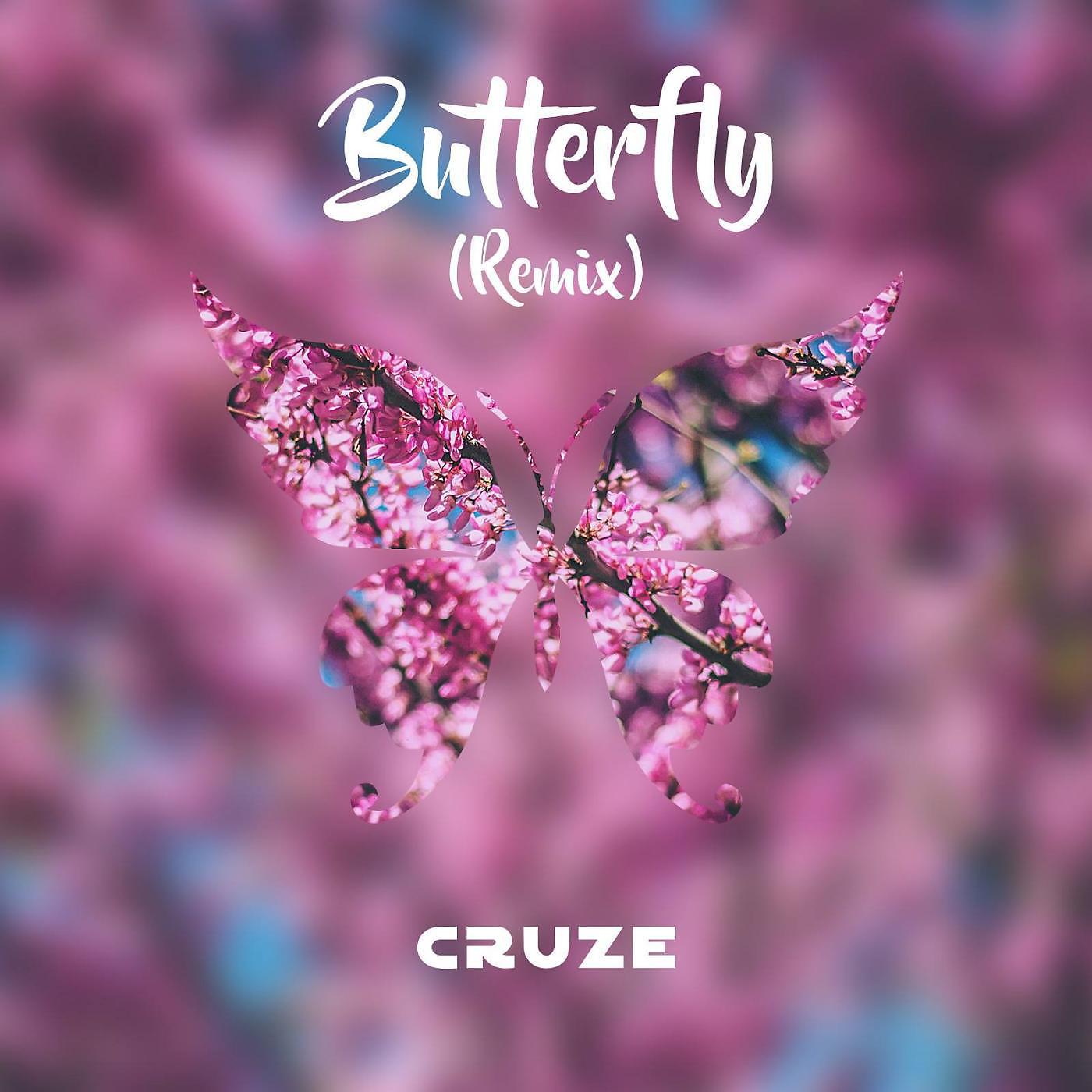 Постер альбома Butterfly (Remix)