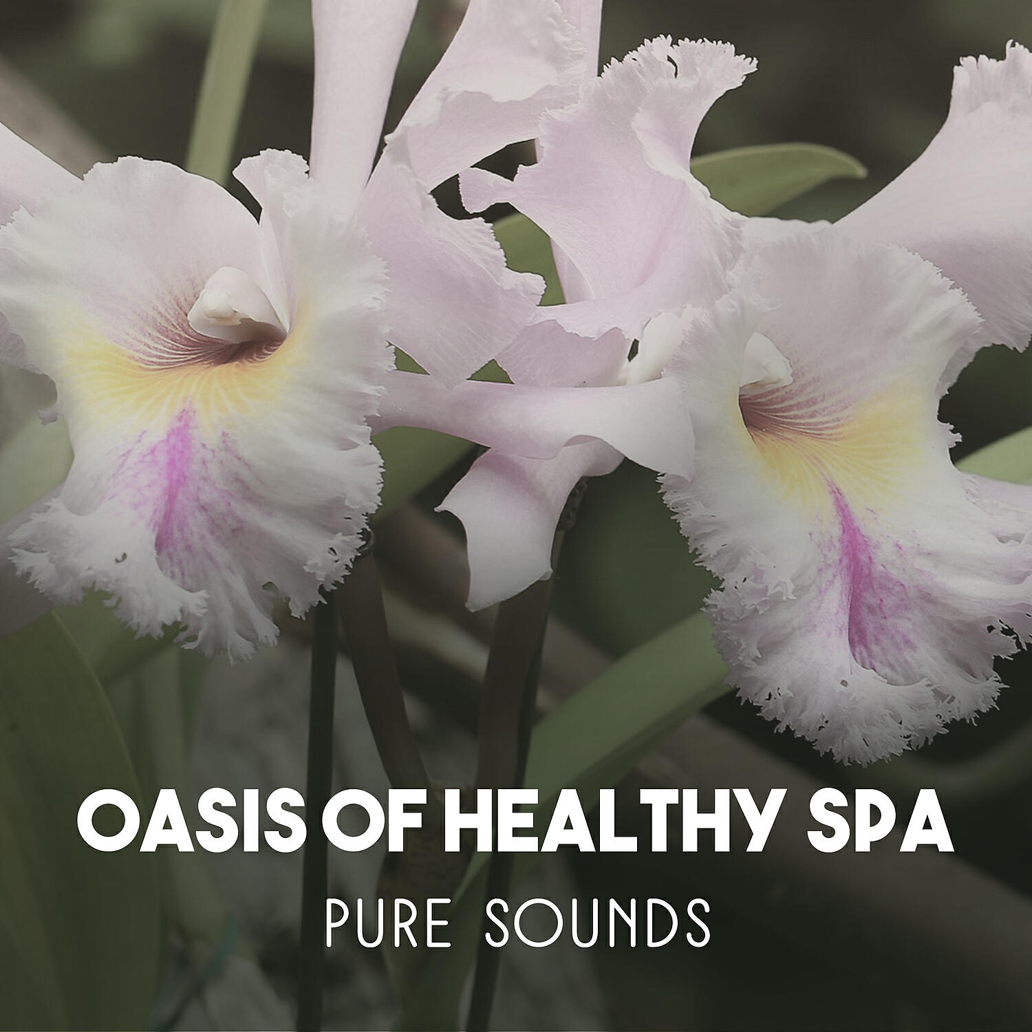 Paradise Spa Music Academy - Tranquil Yoga Techniques