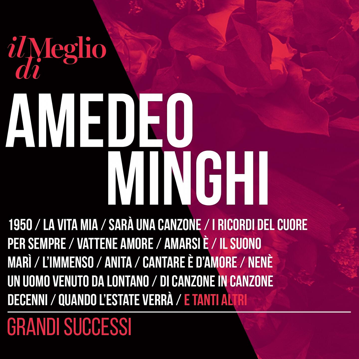 Amedeo Minghi - Cantare è d'amore (Live)