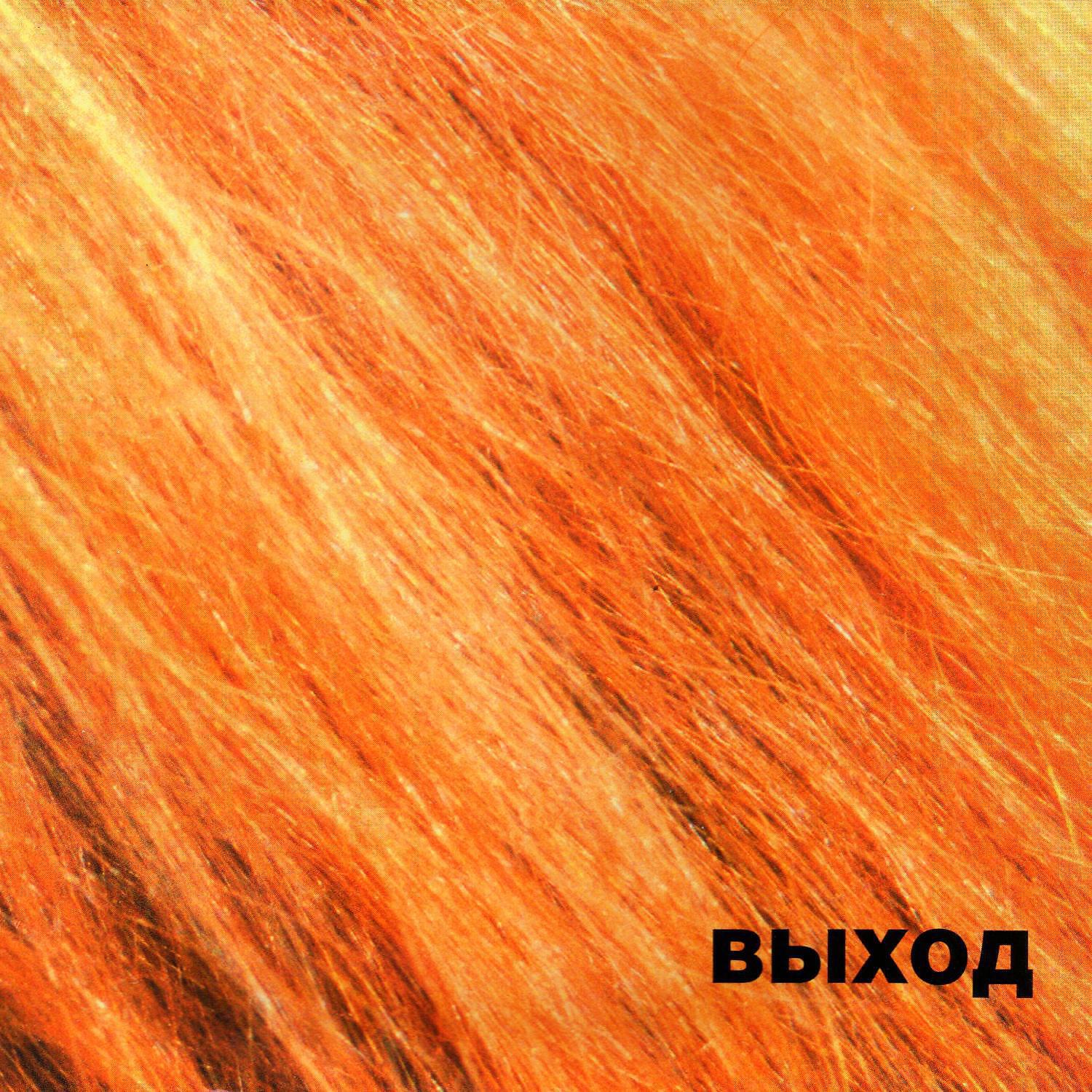 Выход - Ча-ча-ча