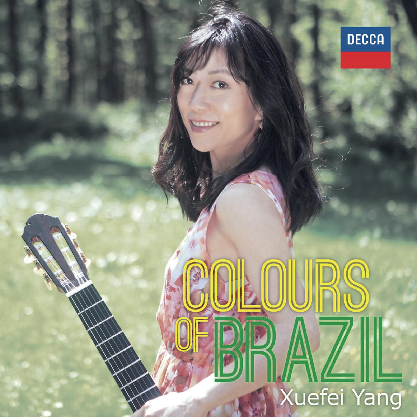 Постер альбома Colours Of Brazil