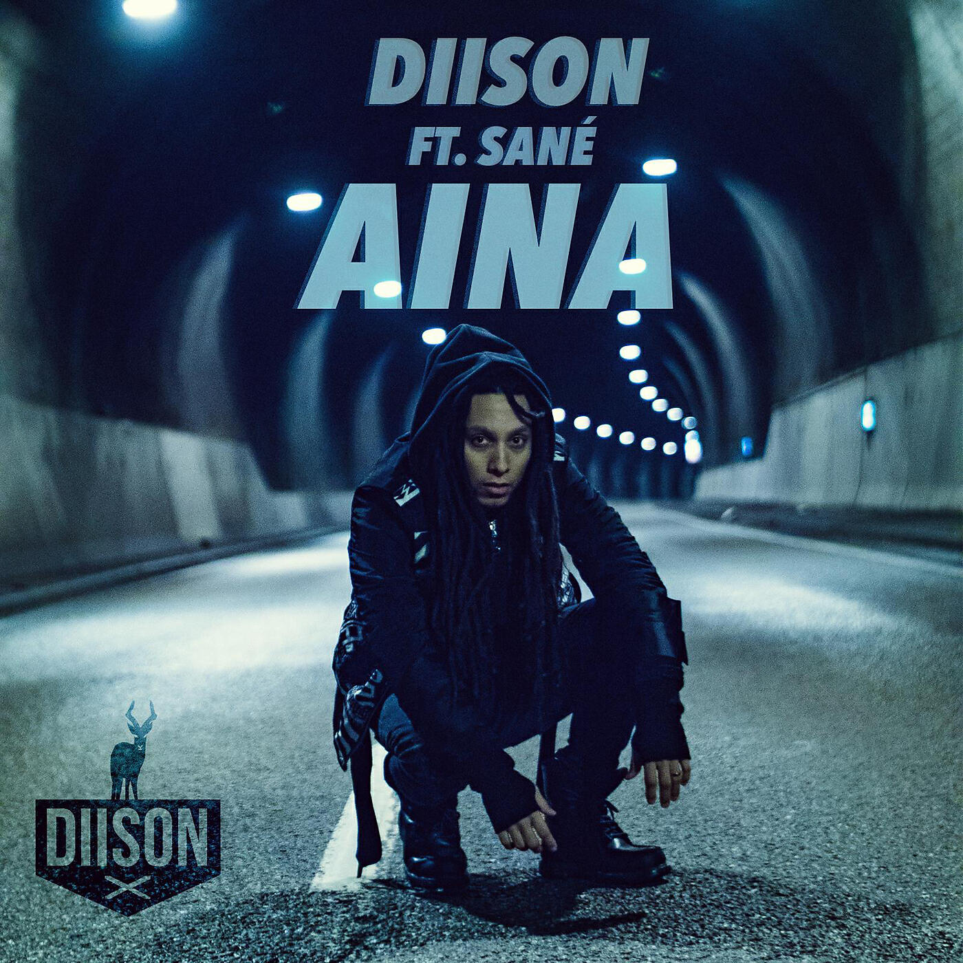 Diison - Aina