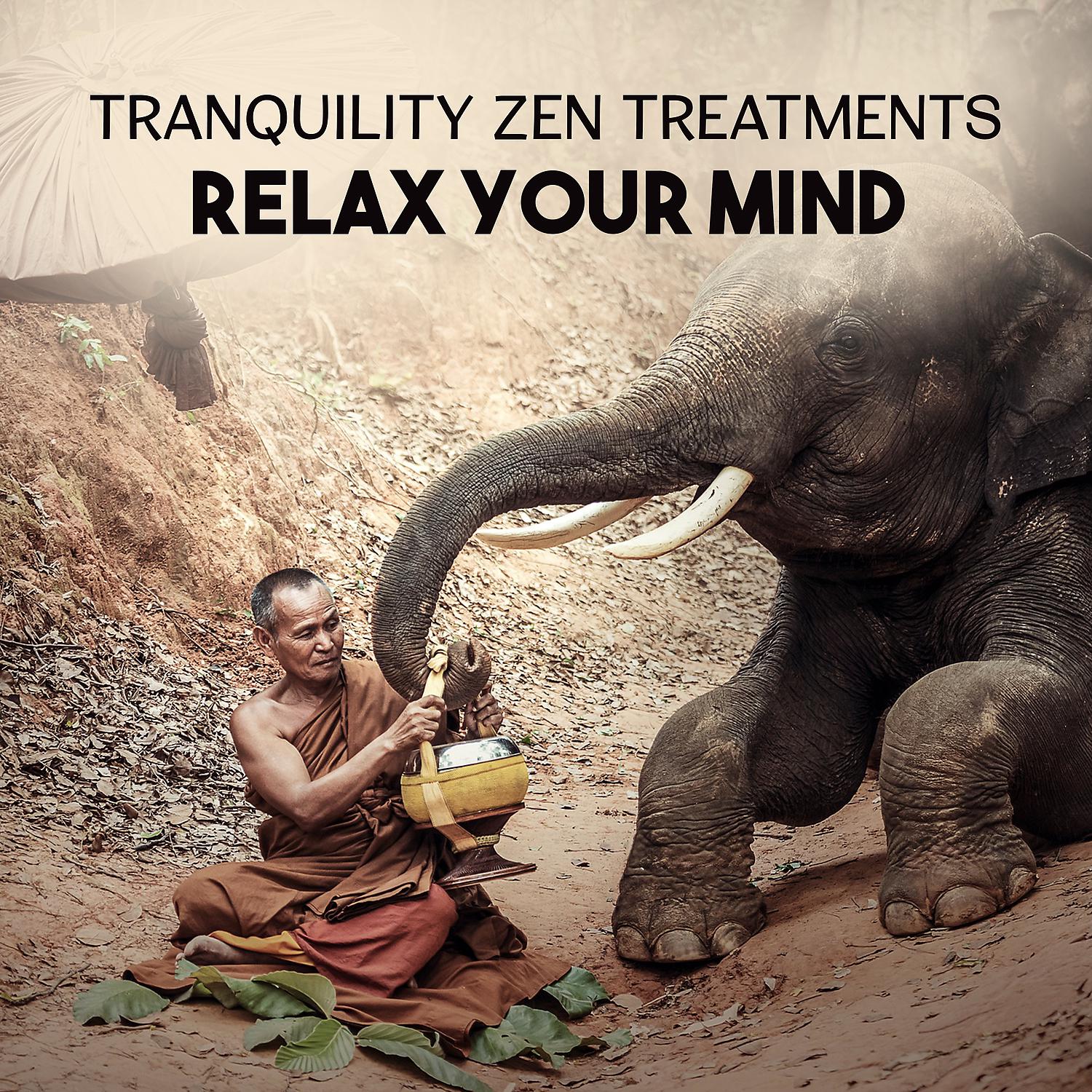 Постер альбома Tranquility Zen Treatments: Relax Your Mind – Pleasant Sounds for Rest, Oasis of Mindfulness Meditation, Divine Calmness