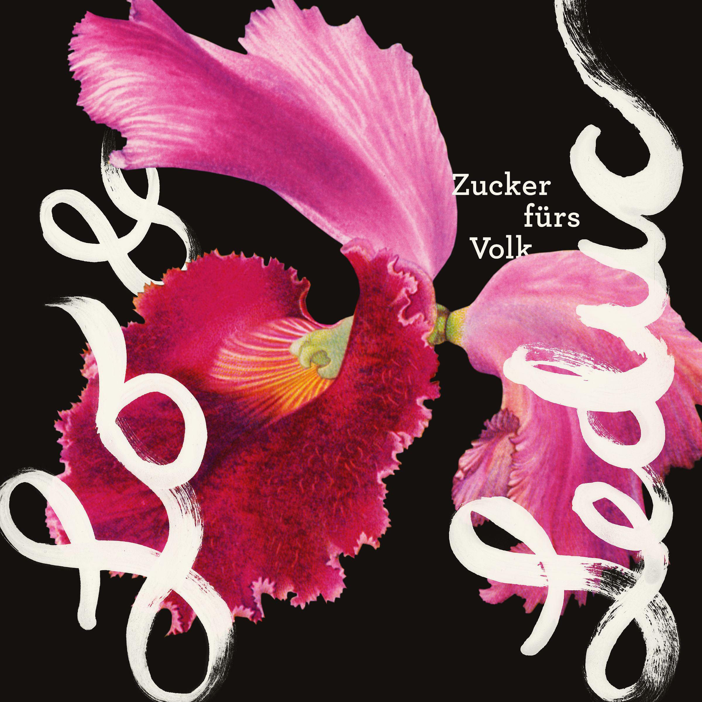 Постер альбома Zucker fürs Volk