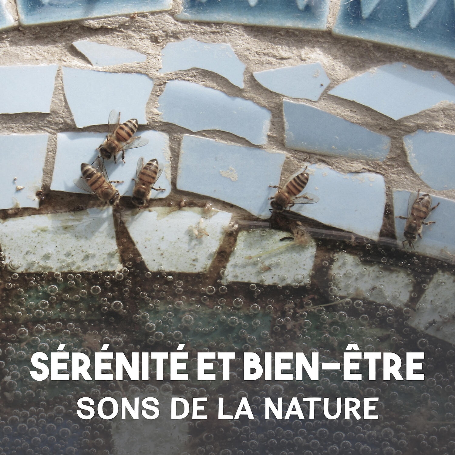 Oasis Des Bruits Naturels - Musique de guérison (Les sons des goélands et de la mer)