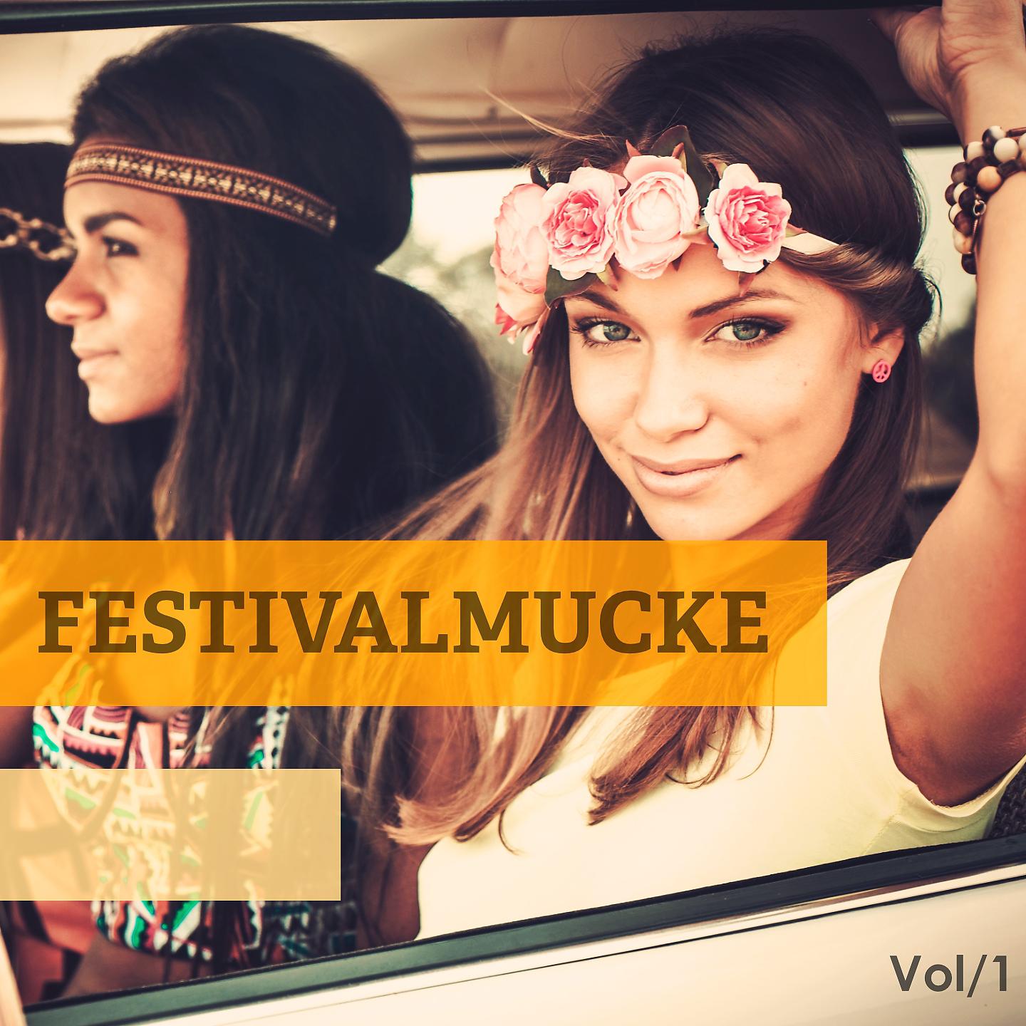 Постер альбома Festivalmucke, Vol. 1
