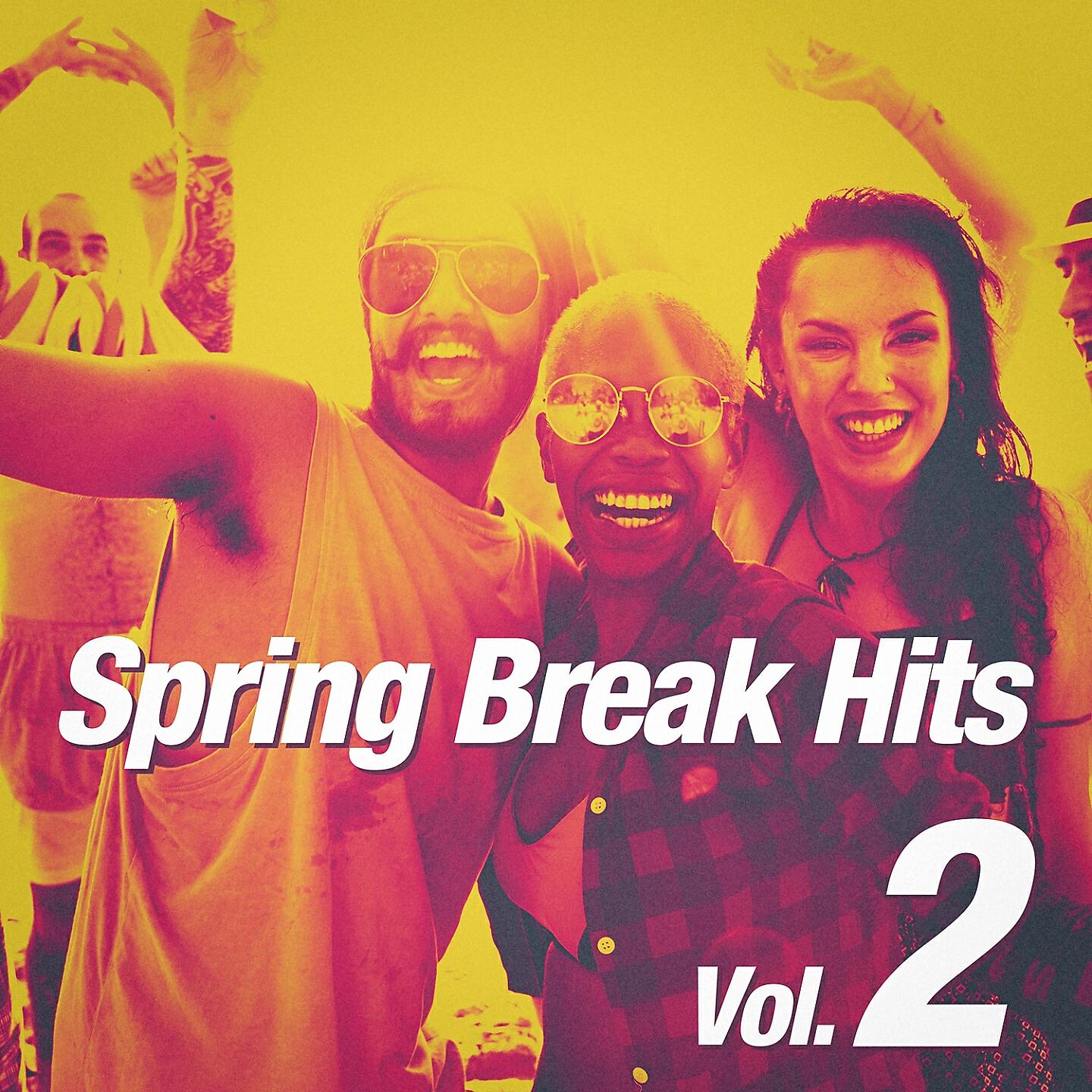 Spring Break Party Hits - How Deep is Your love